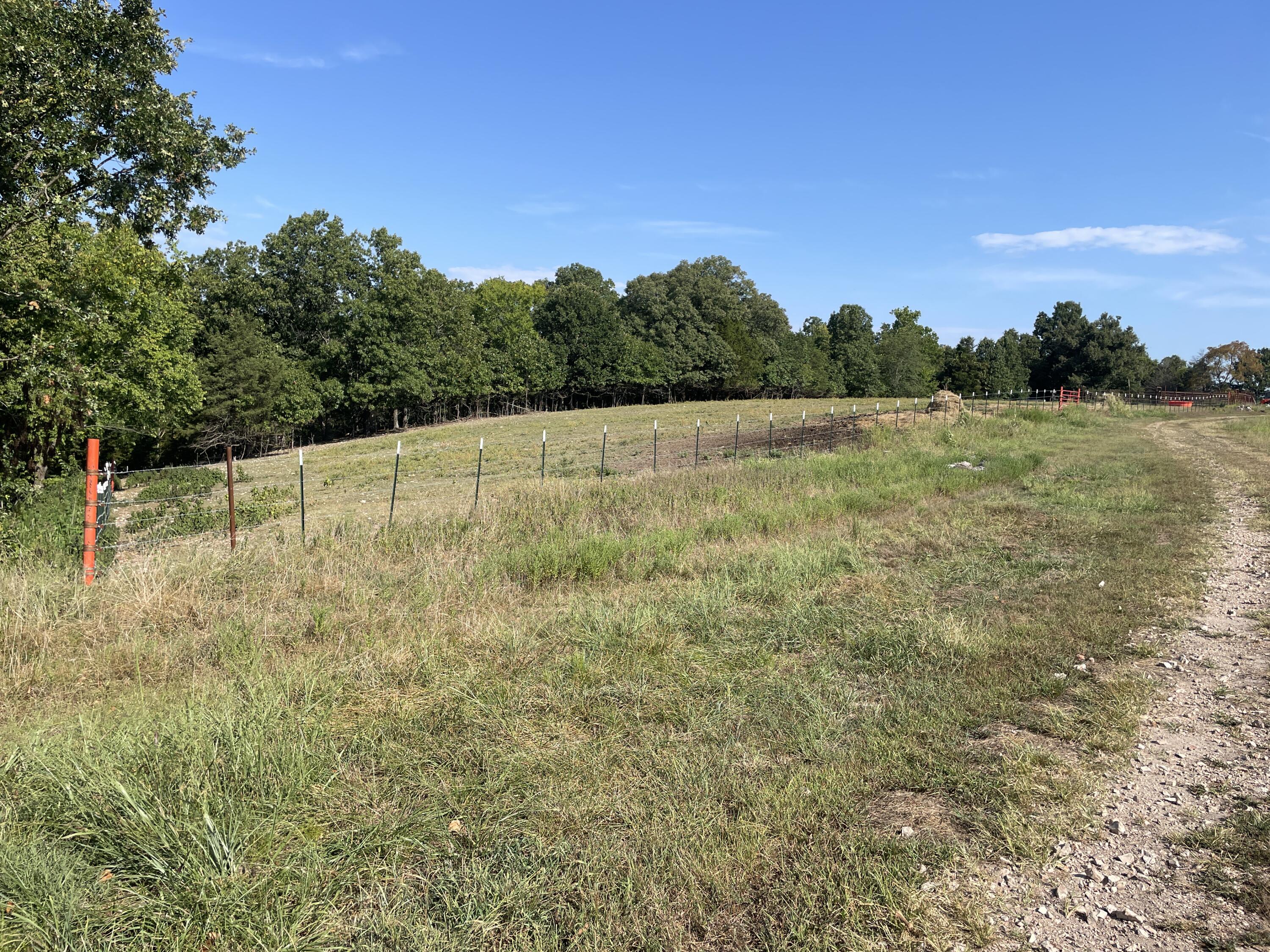 258 Acres Mikes Creek Road Property Photo 27