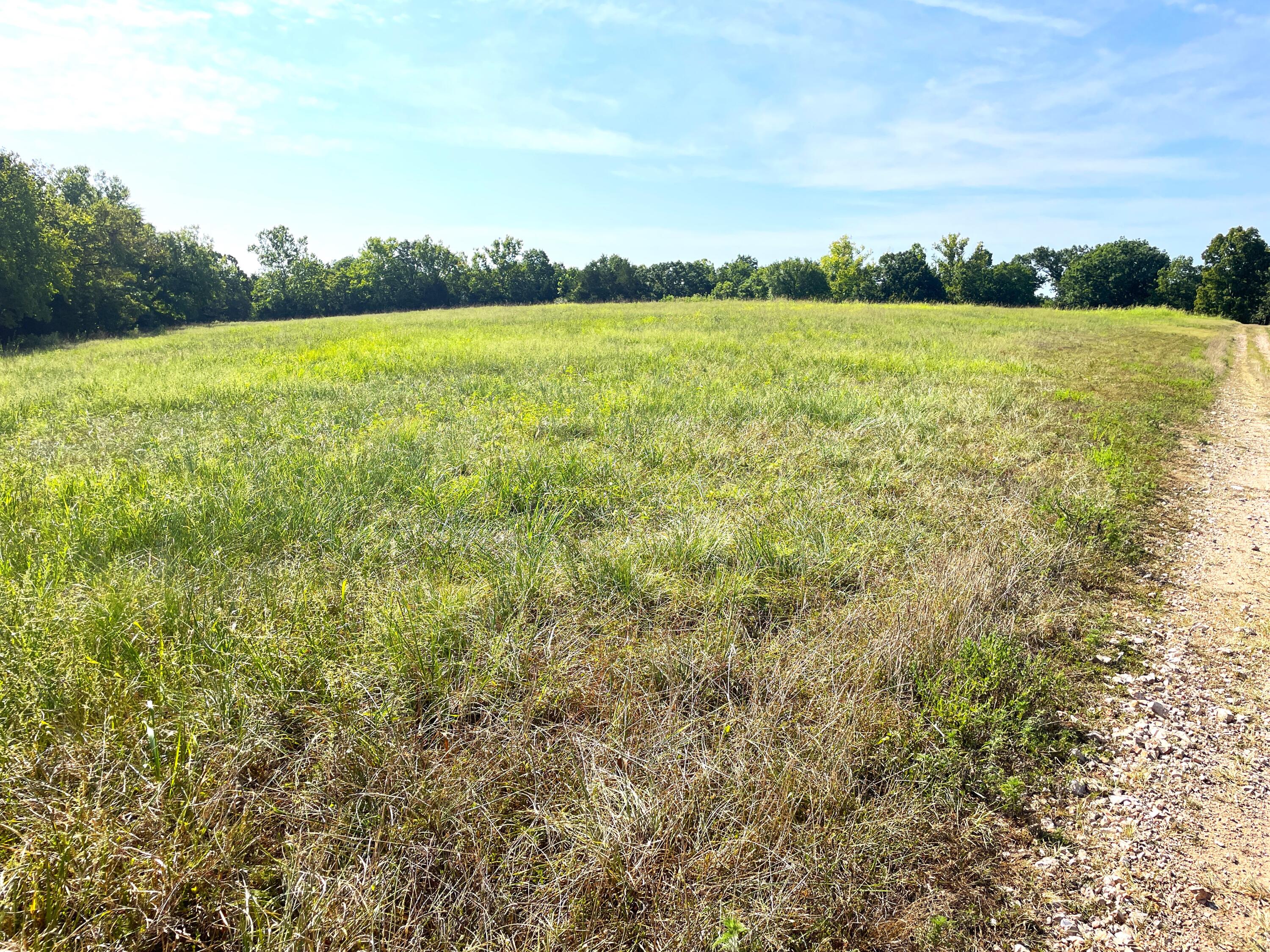 258 Acres Mikes Creek Road Property Photo 29