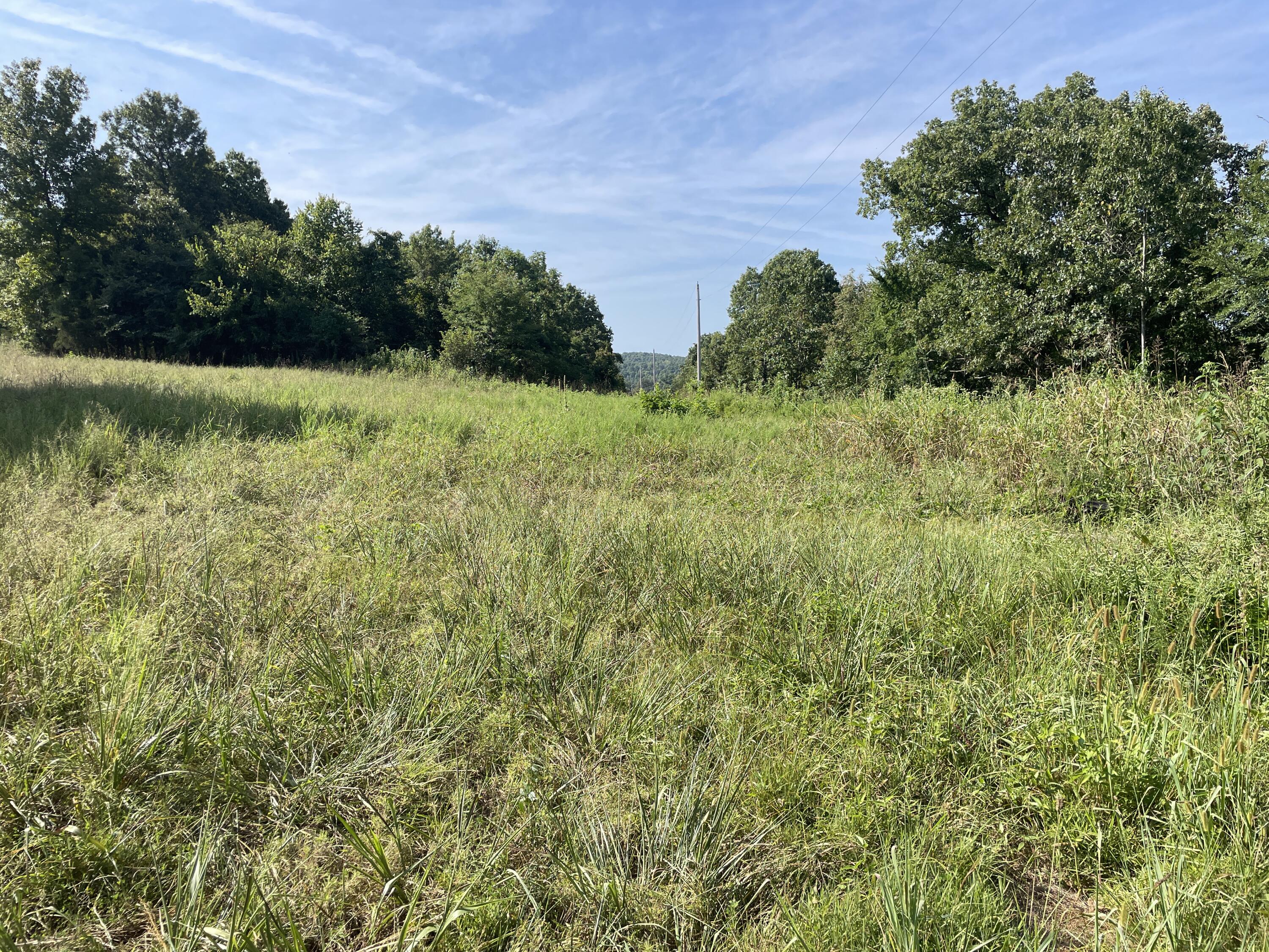 258 Acres Mikes Creek Road Property Photo 31
