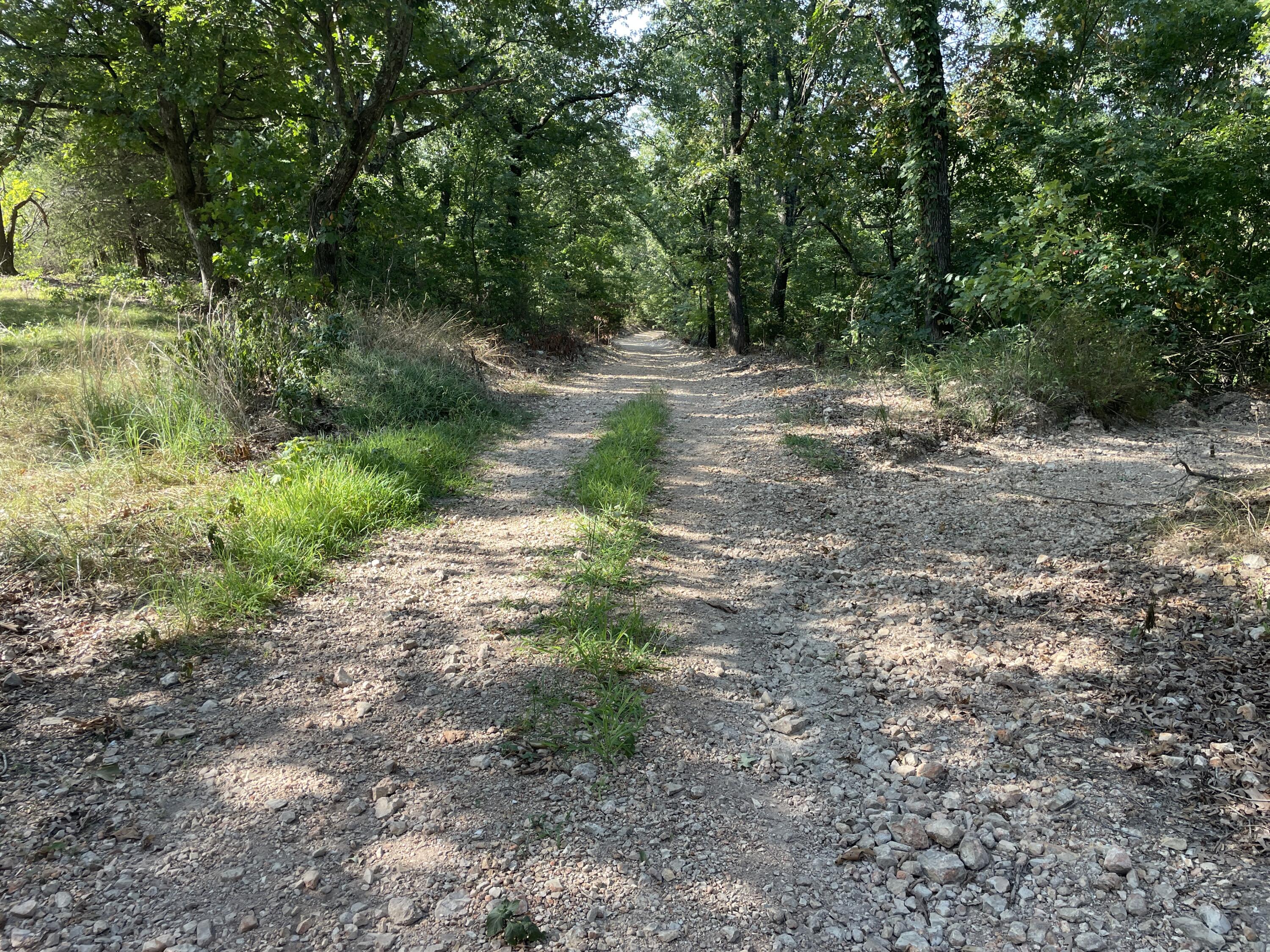 258 Acres Mikes Creek Road Property Photo 33