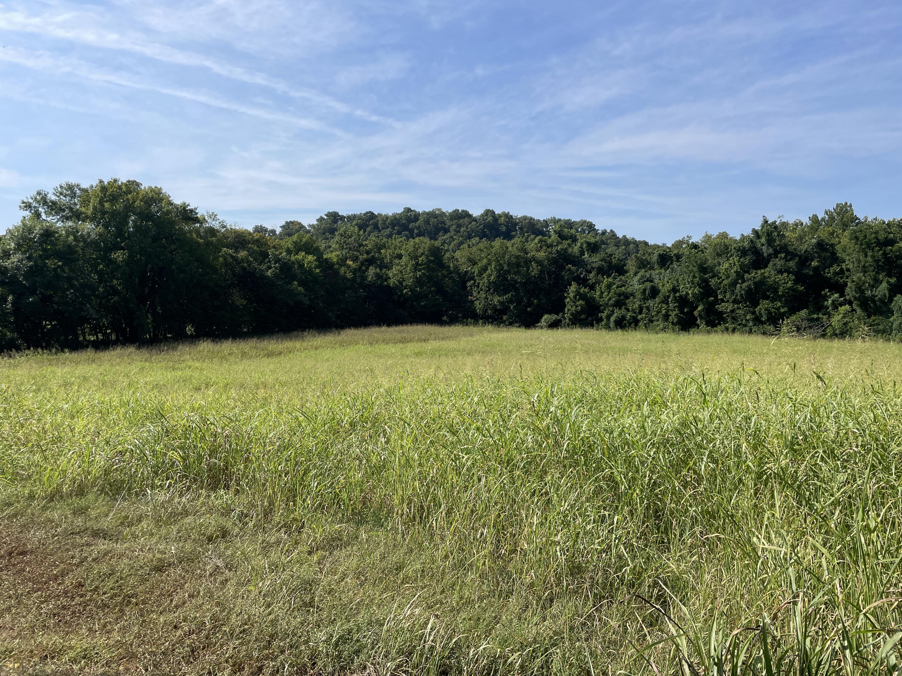 258 Acres Mikes Creek Road Property Photo 34
