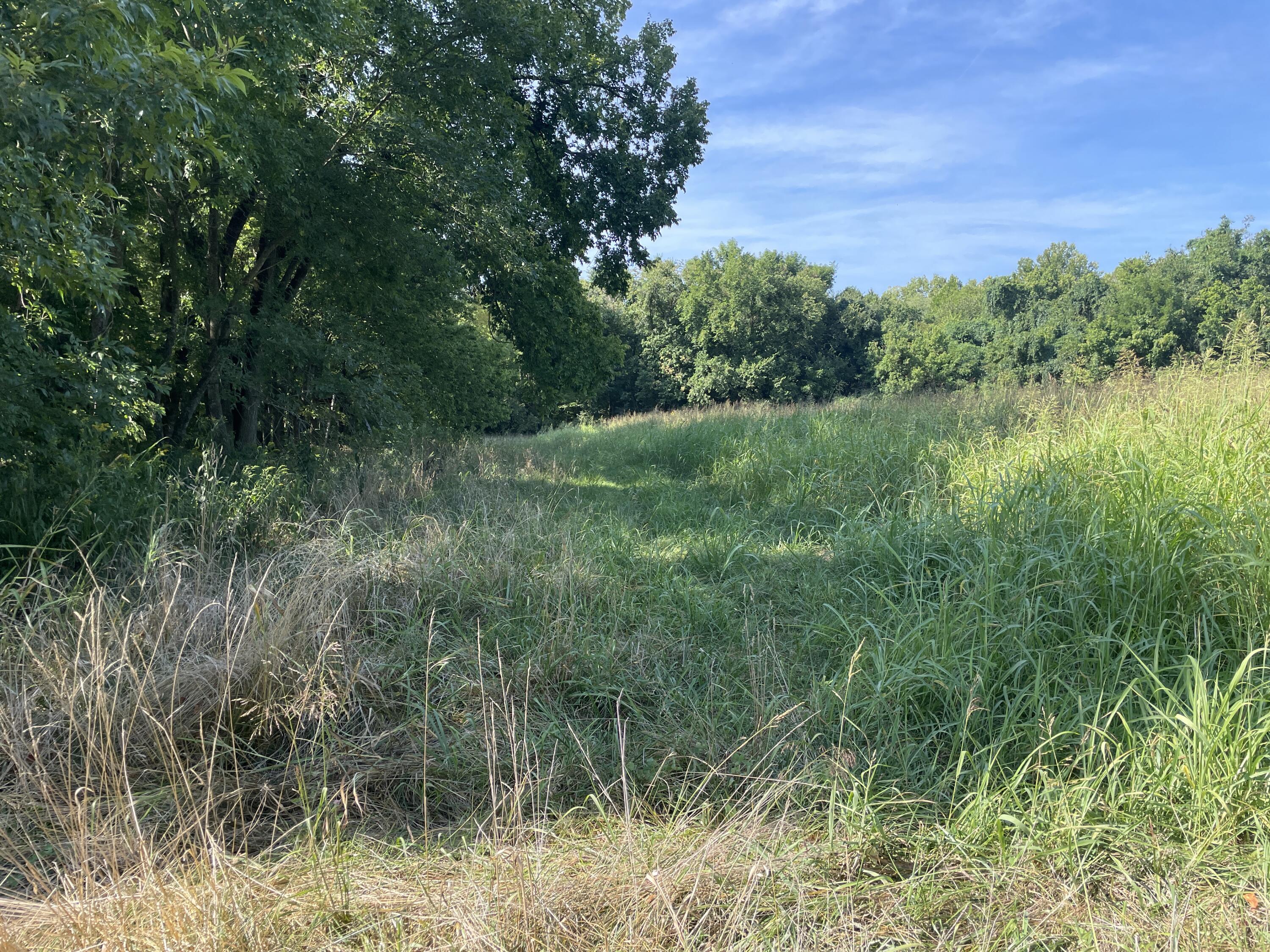 258 Acres Mikes Creek Road Property Photo 35