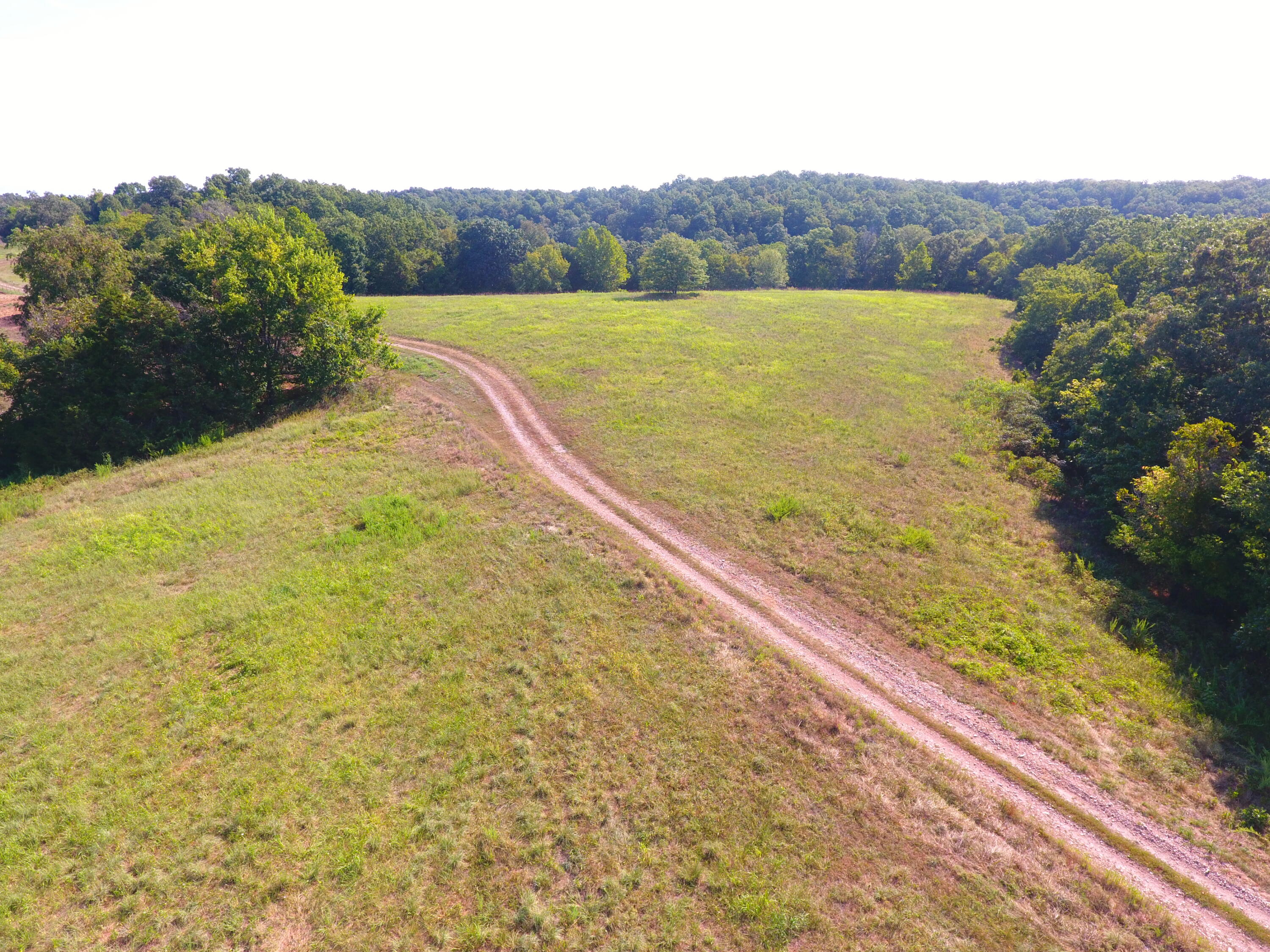 258 Acres Mikes Creek Road Property Photo 36