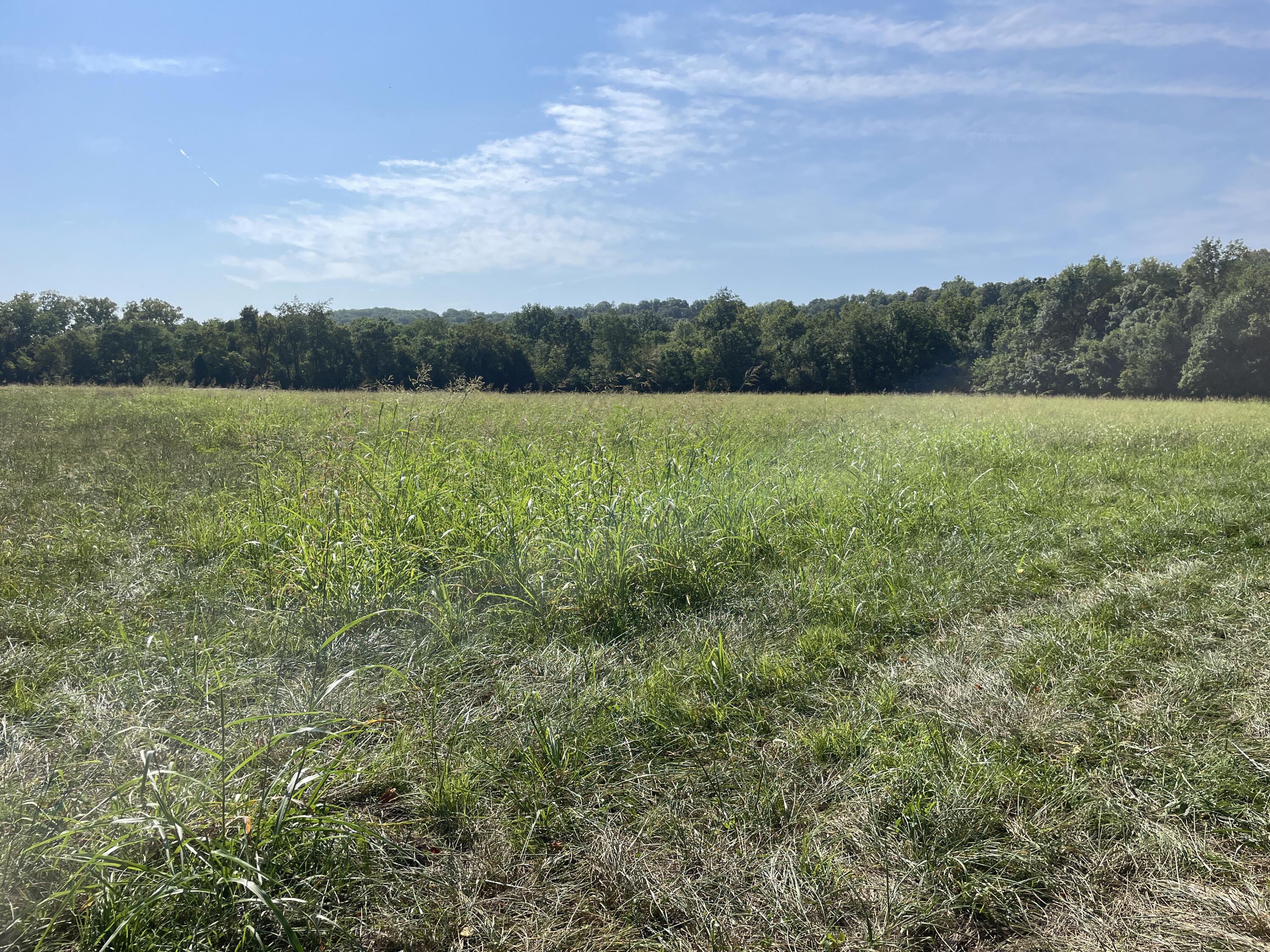 258 Acres Mikes Creek Road Property Photo 37