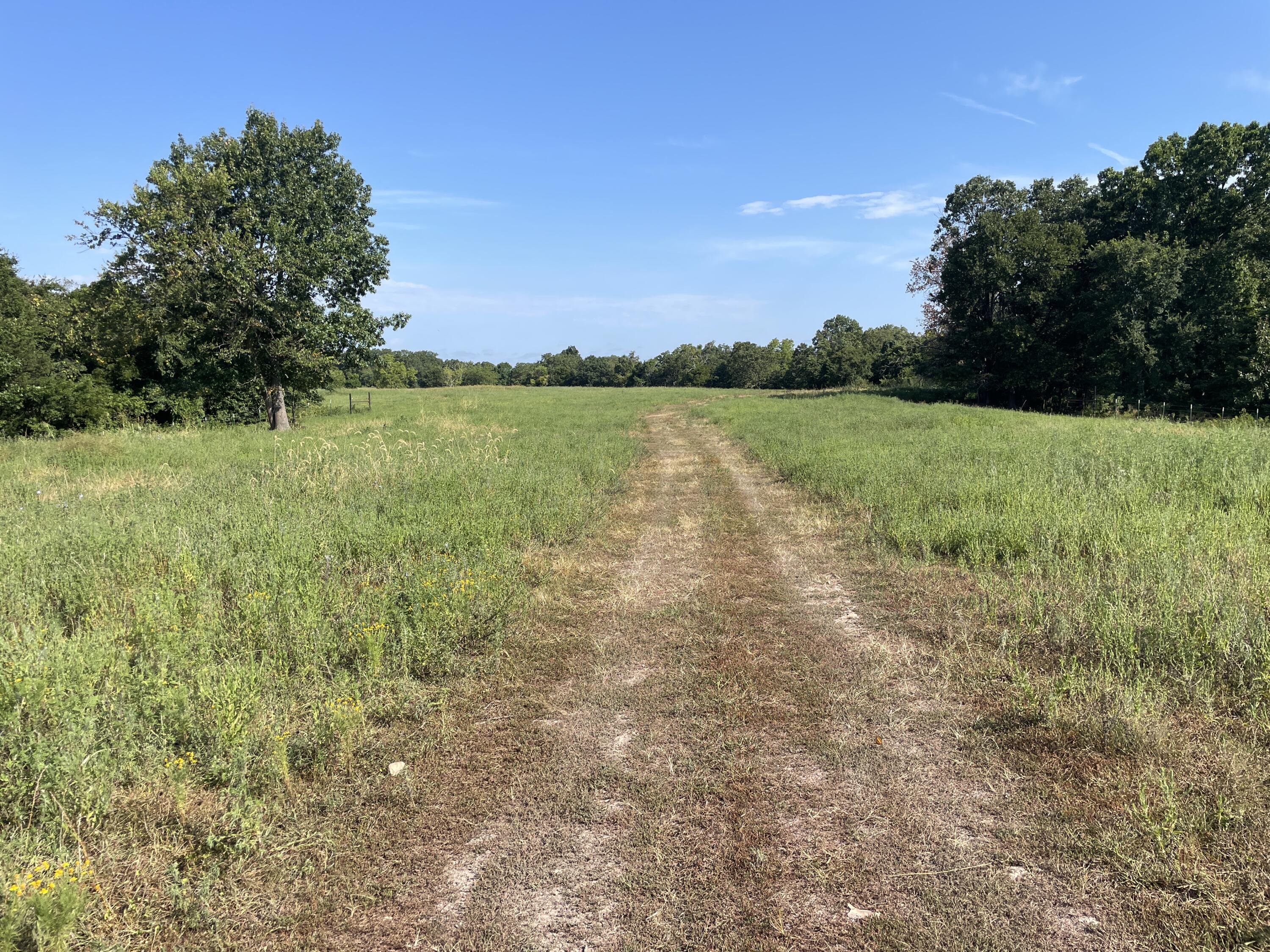 258 Acres Mikes Creek Road Property Photo 38
