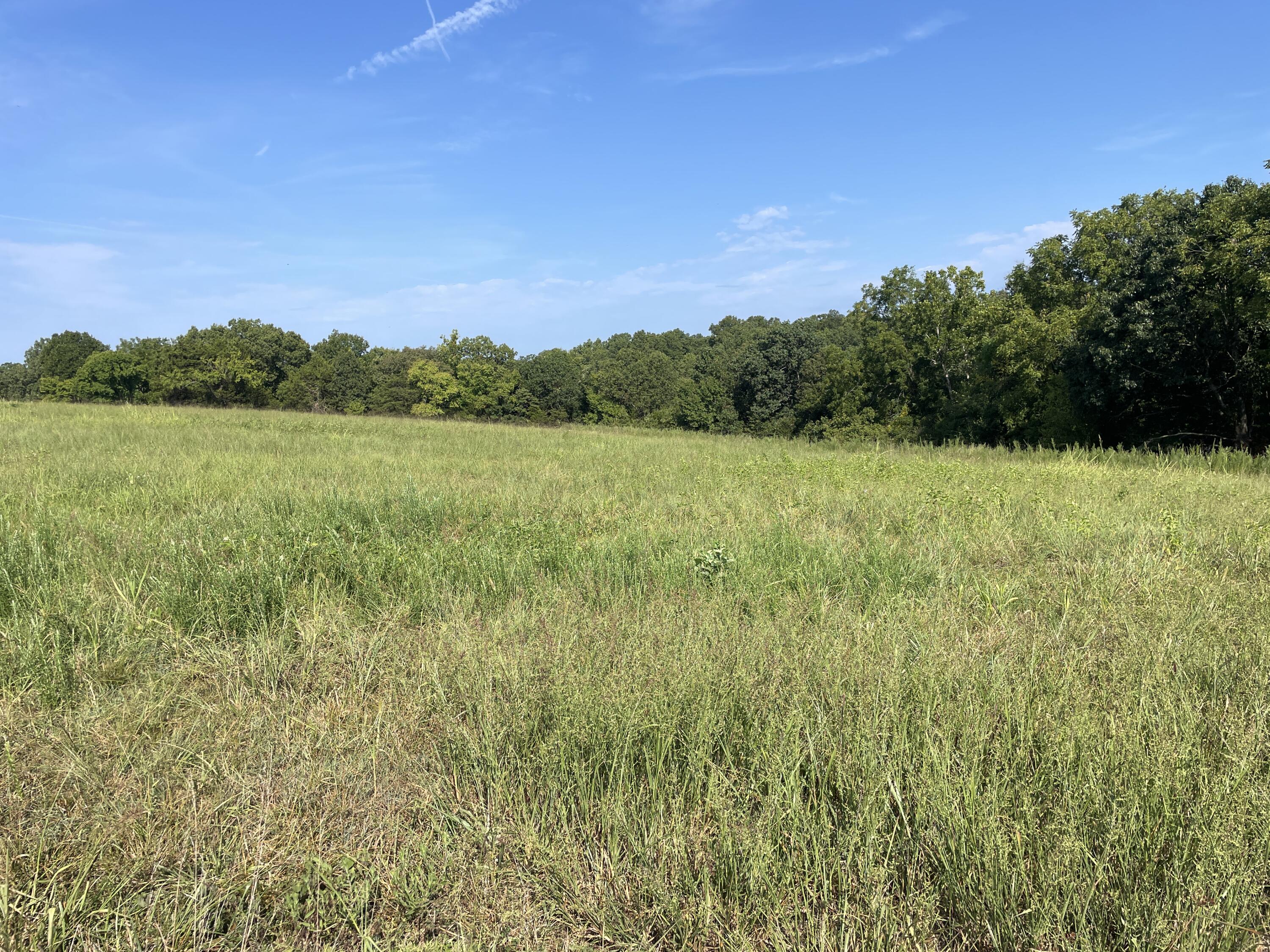 258 Acres Mikes Creek Road Property Photo 40