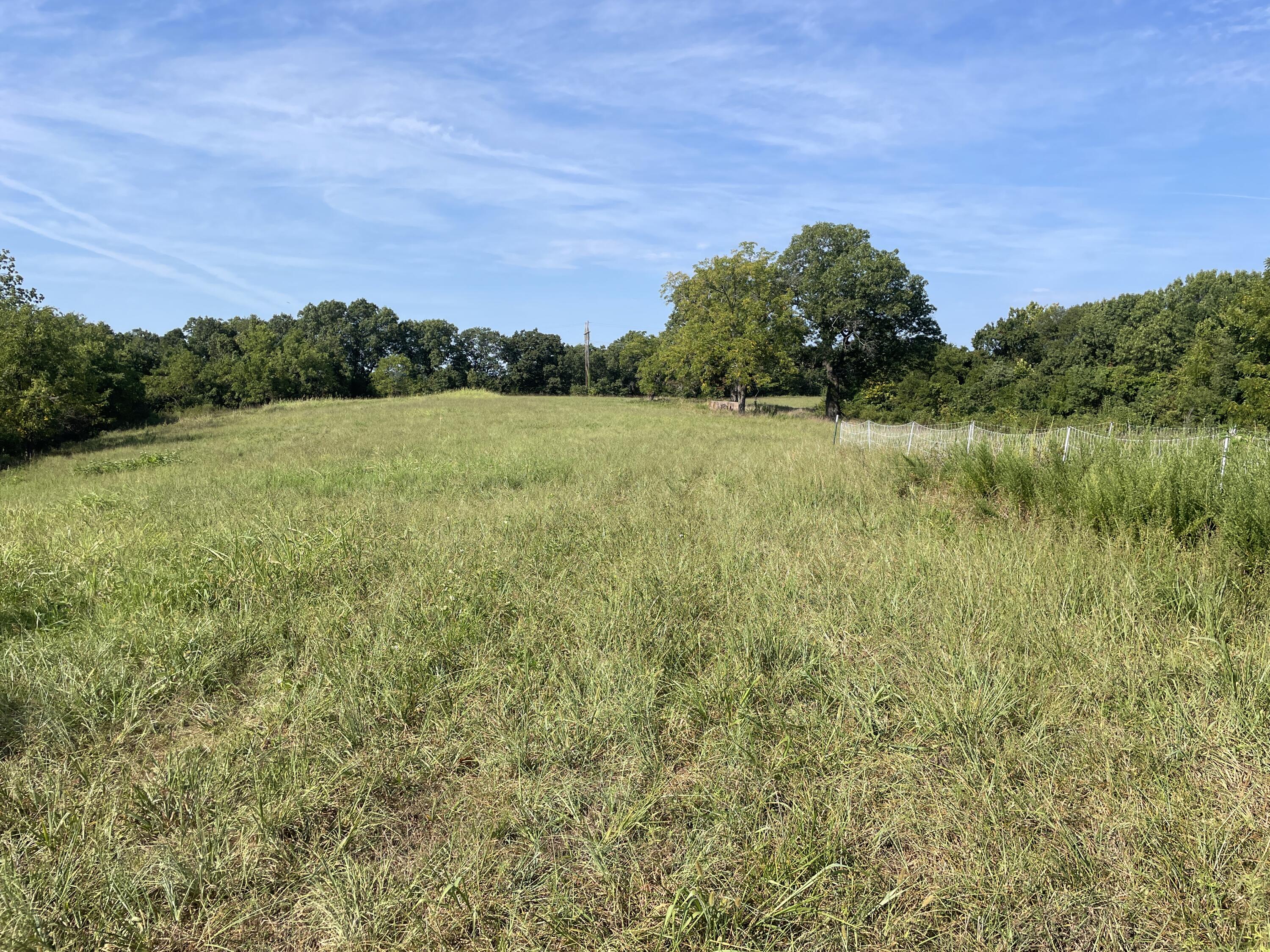 258 Acres Mikes Creek Road Property Photo 42