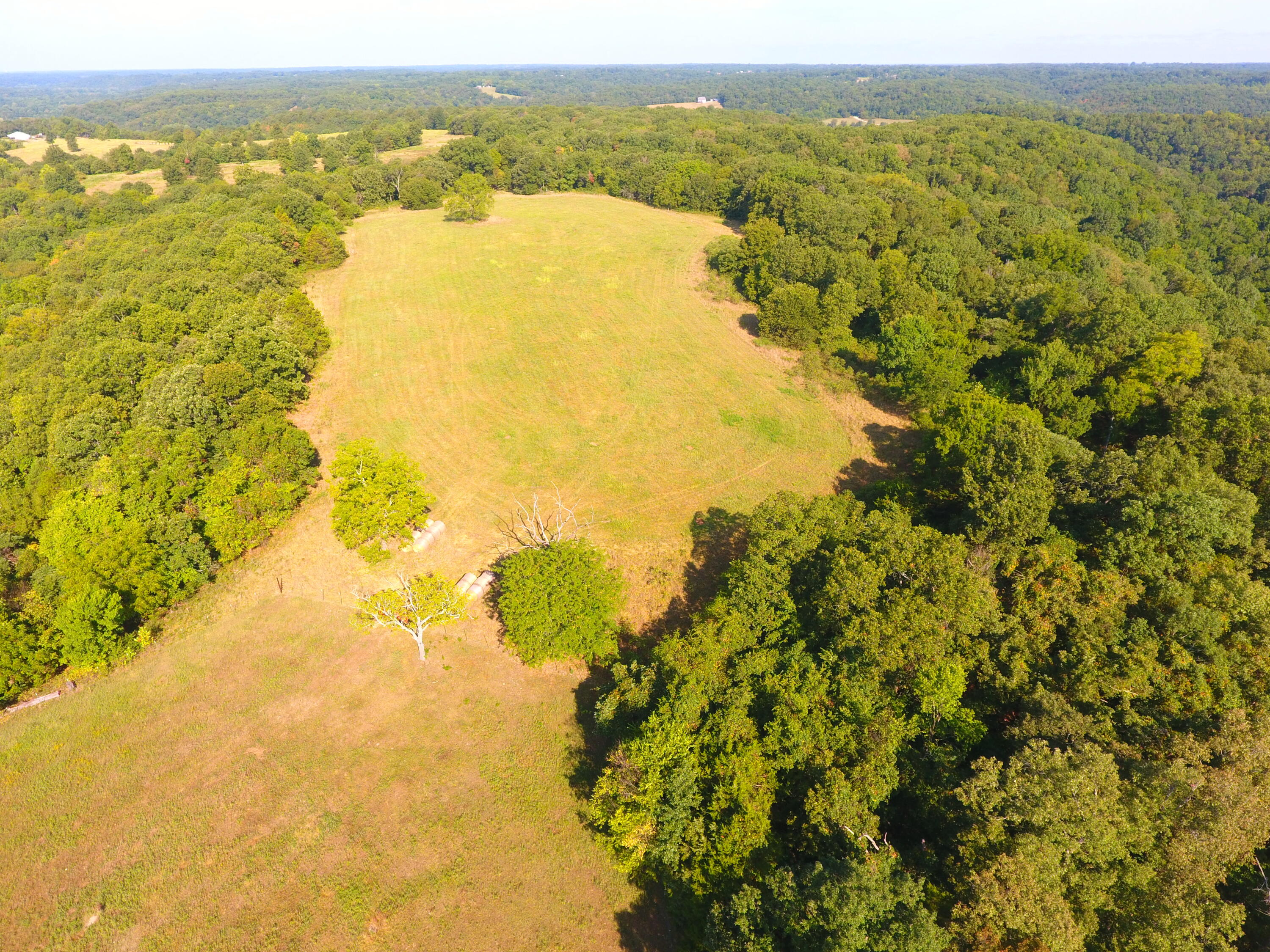 258 Acres Mikes Creek Road Property Photo 43