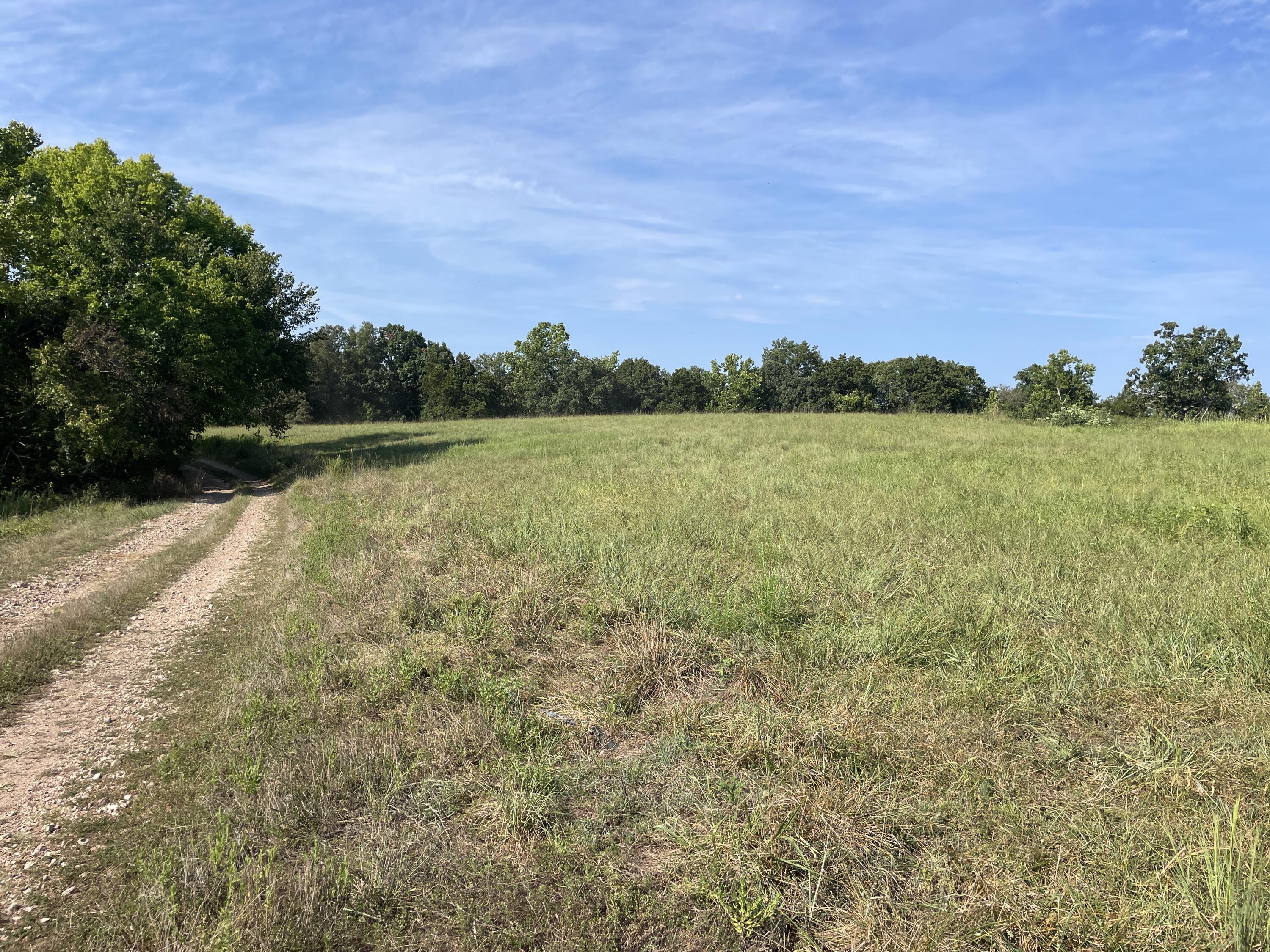 258 Acres Mikes Creek Road Property Photo 44