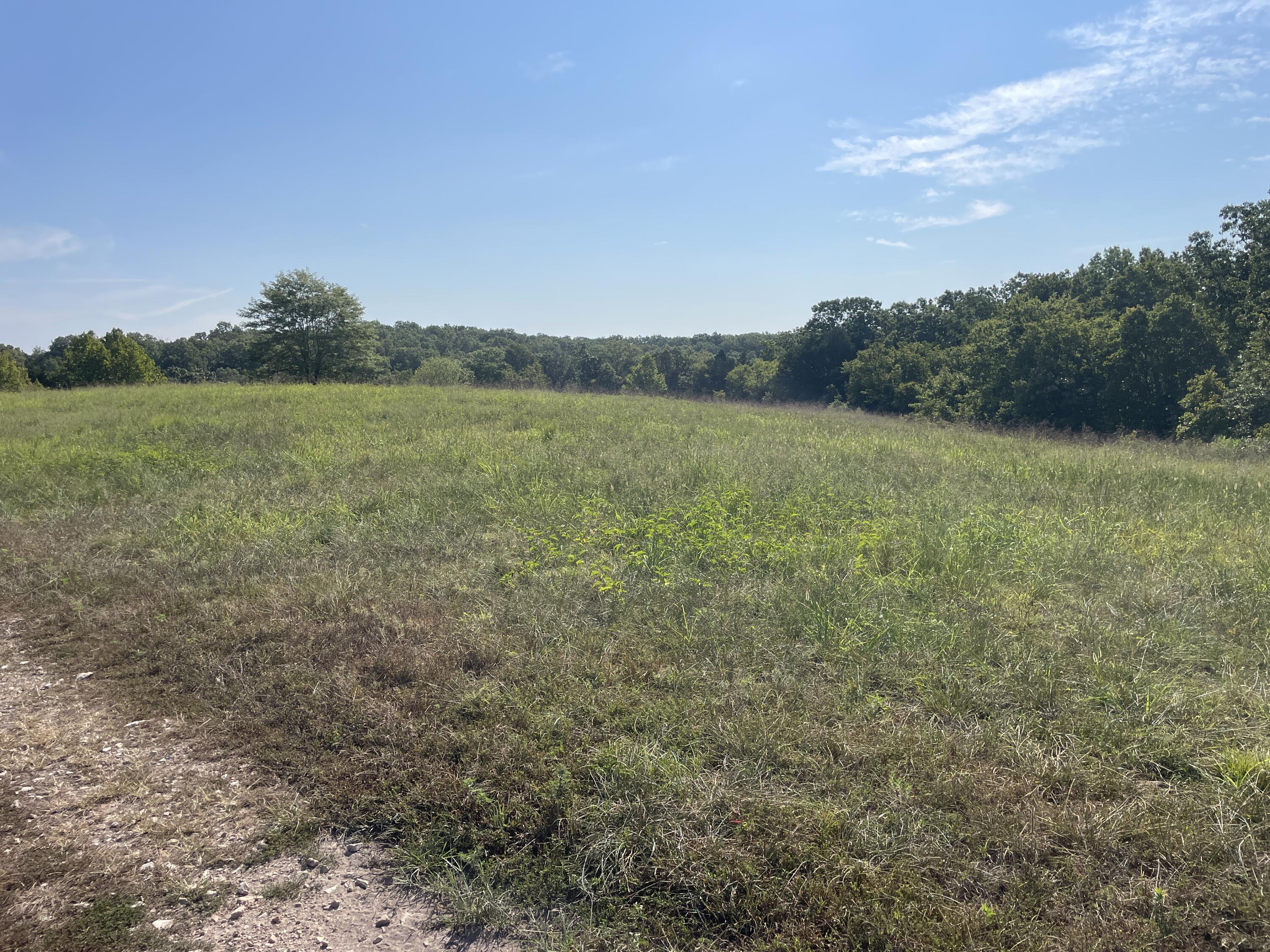258 Acres Mikes Creek Road Property Photo 45