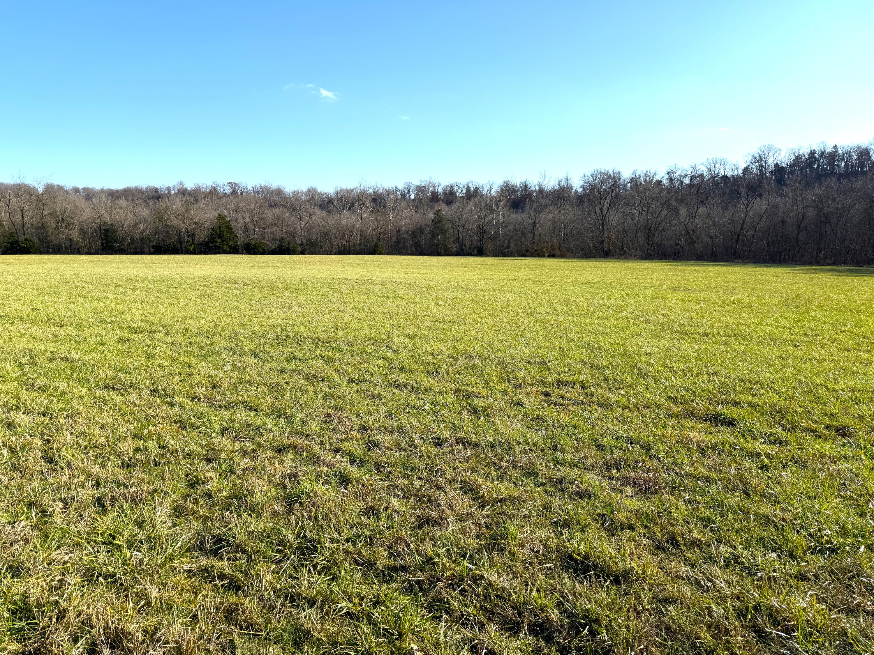 21.8 Acres Mikes Creek Road Property Photo 2