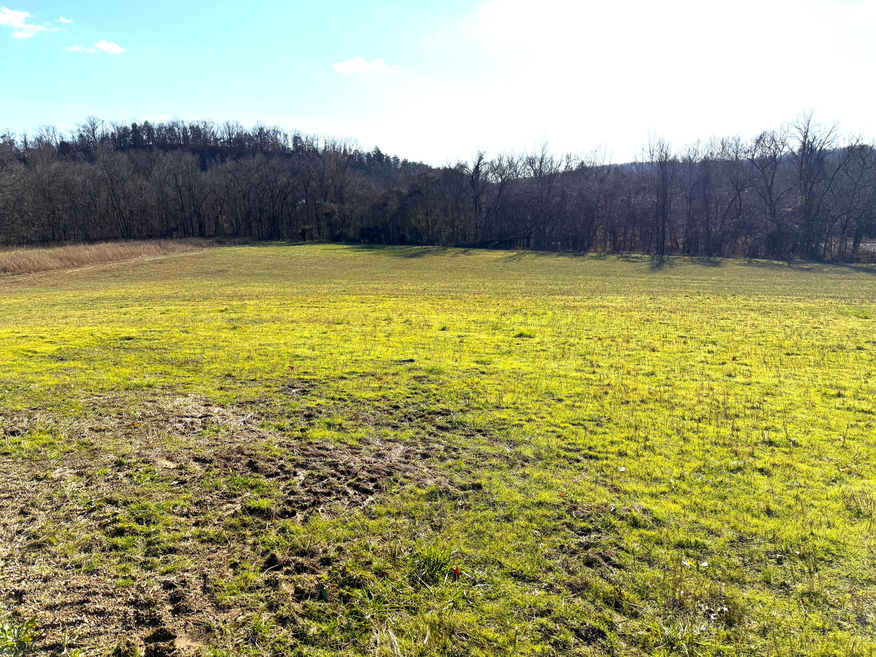21.8 Acres Mikes Creek Road Property Photo 4