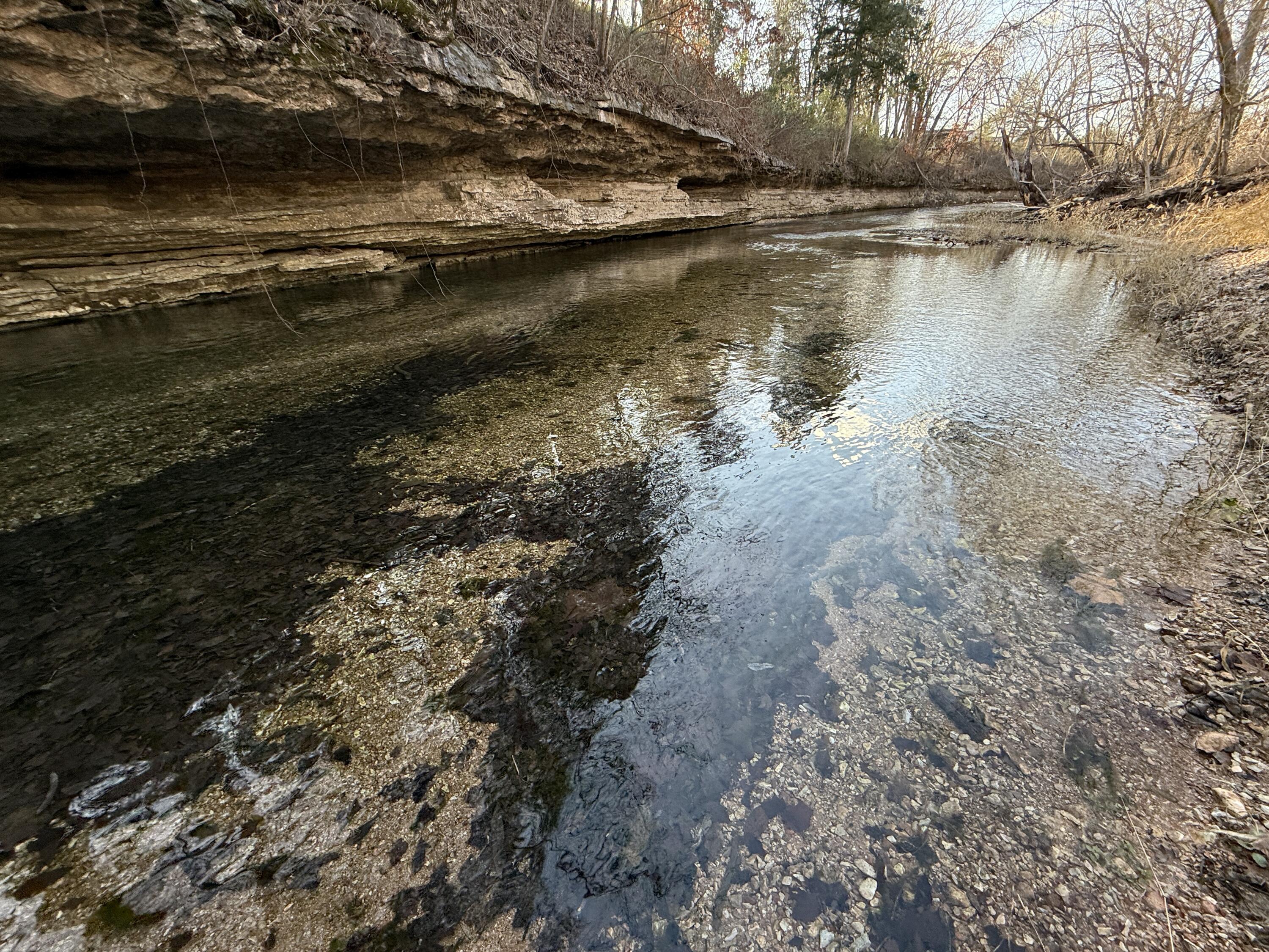 21.8 Acres Mikes Creek Road Property Photo 5