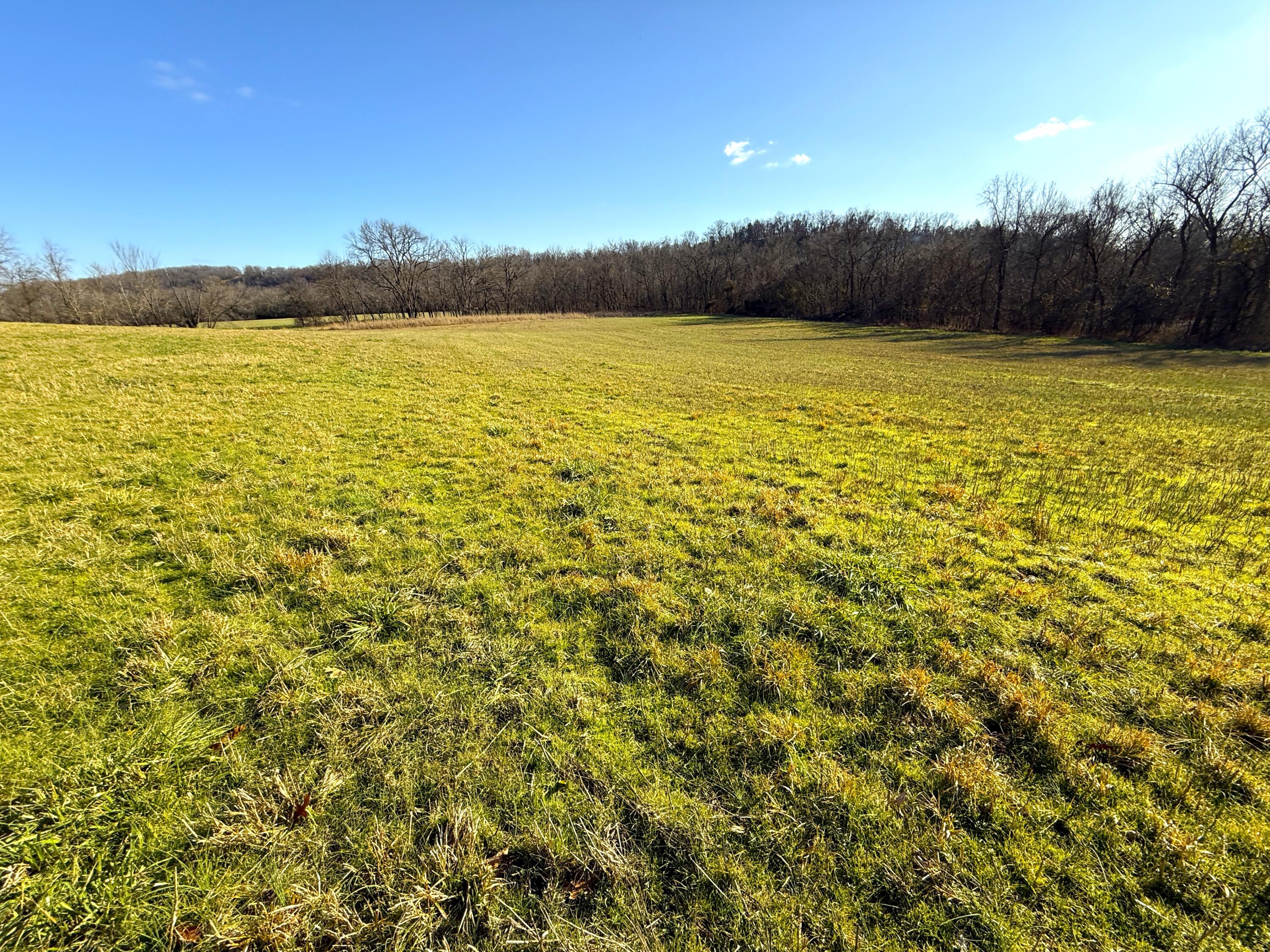 21.8 Acres Mikes Creek Road Property Photo 6