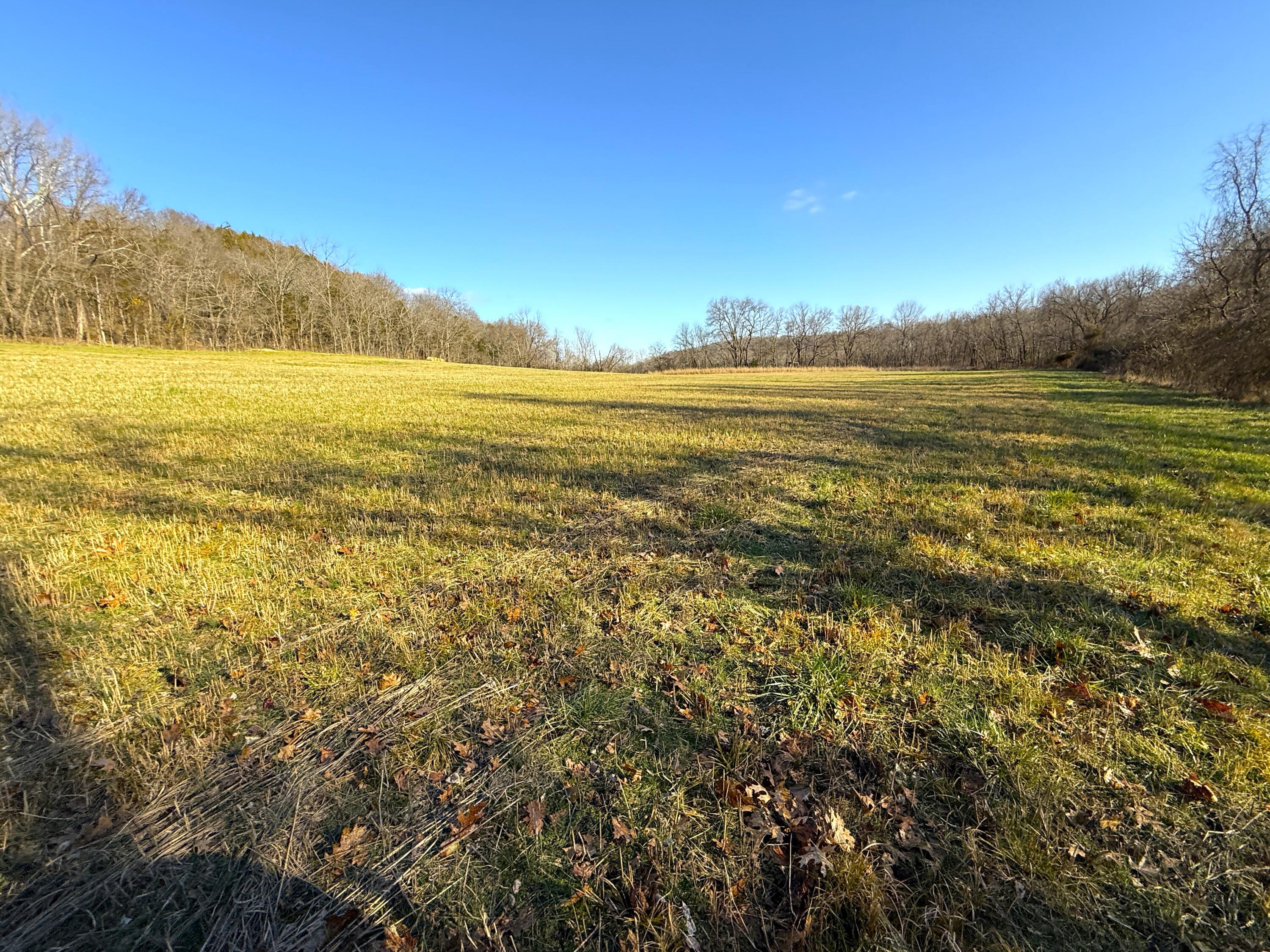 21.8 Acres Mikes Creek Road Property Photo 7