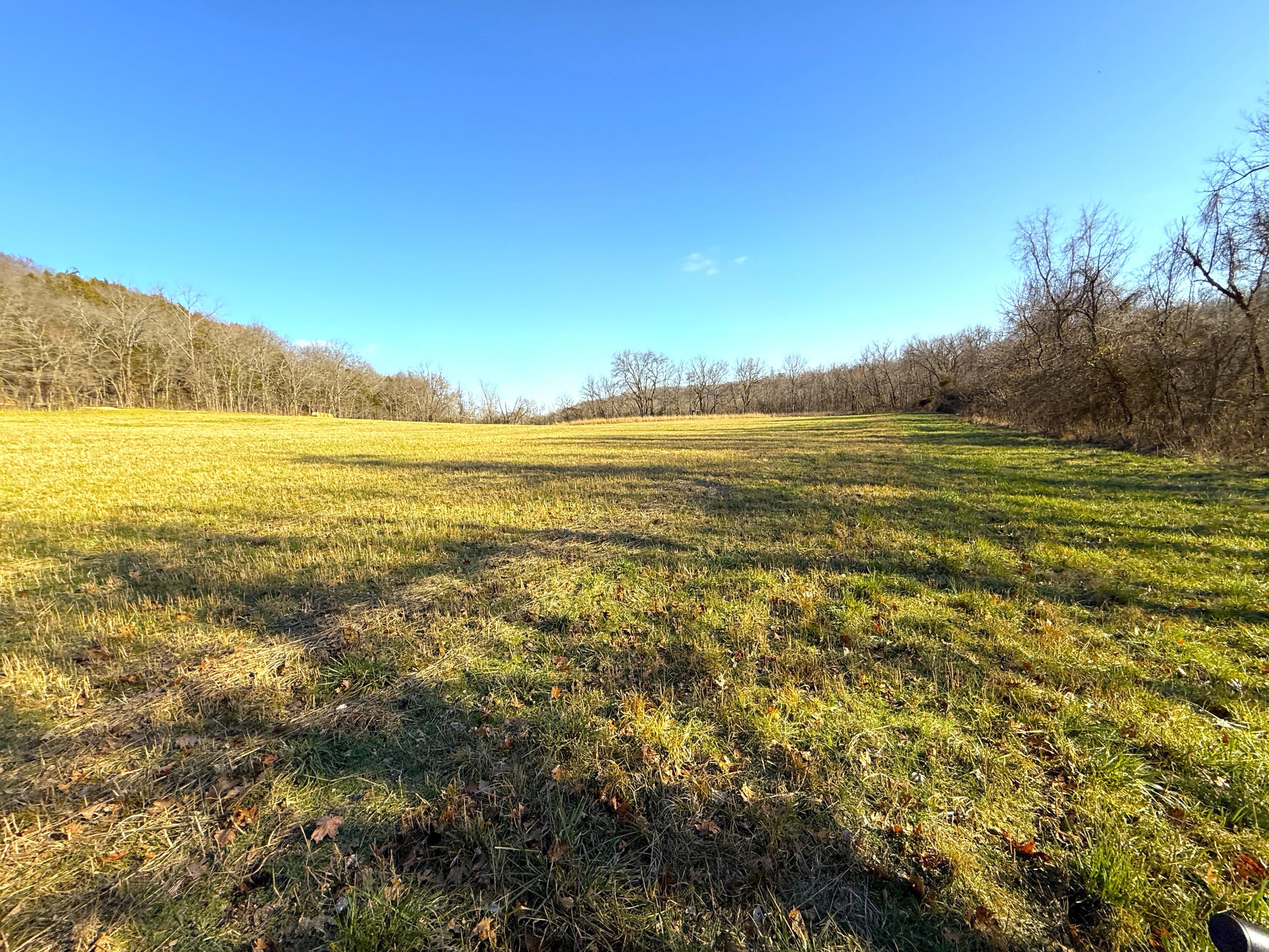 21.8 Acres Mikes Creek Road Property Photo 8