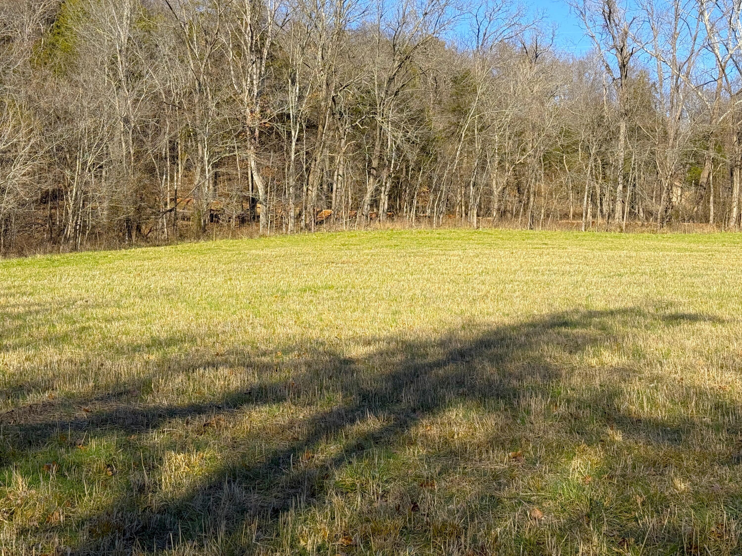 21.8 Acres Mikes Creek Road Property Photo 9