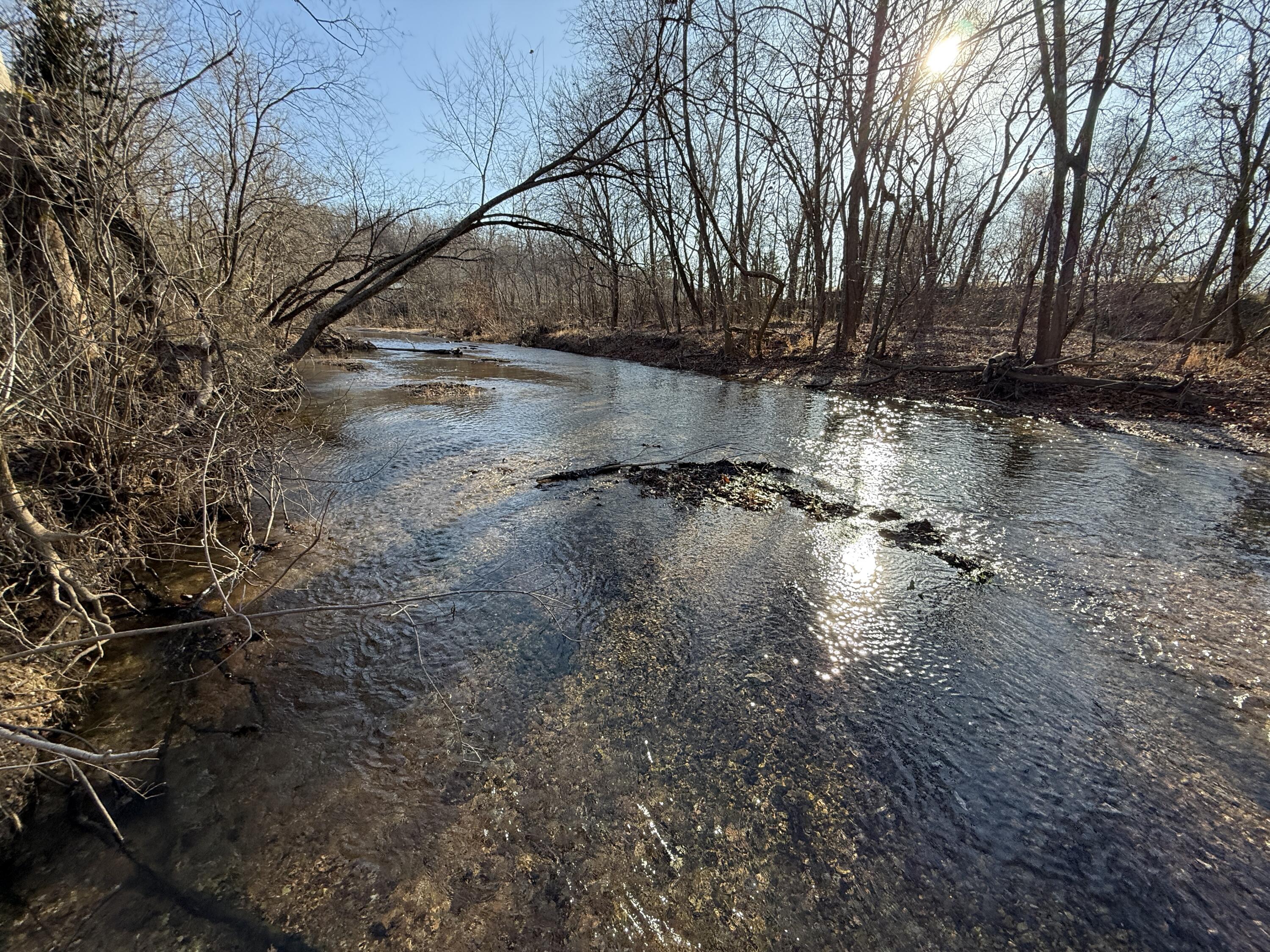 21.8 Acres Mikes Creek Road Property Photo 11
