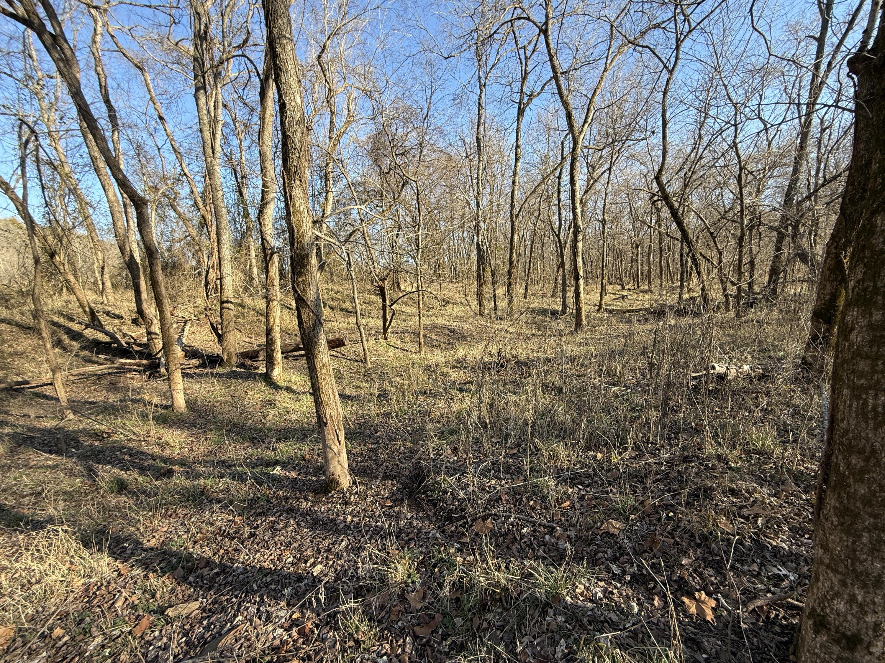 21.8 Acres Mikes Creek Road Property Photo 13