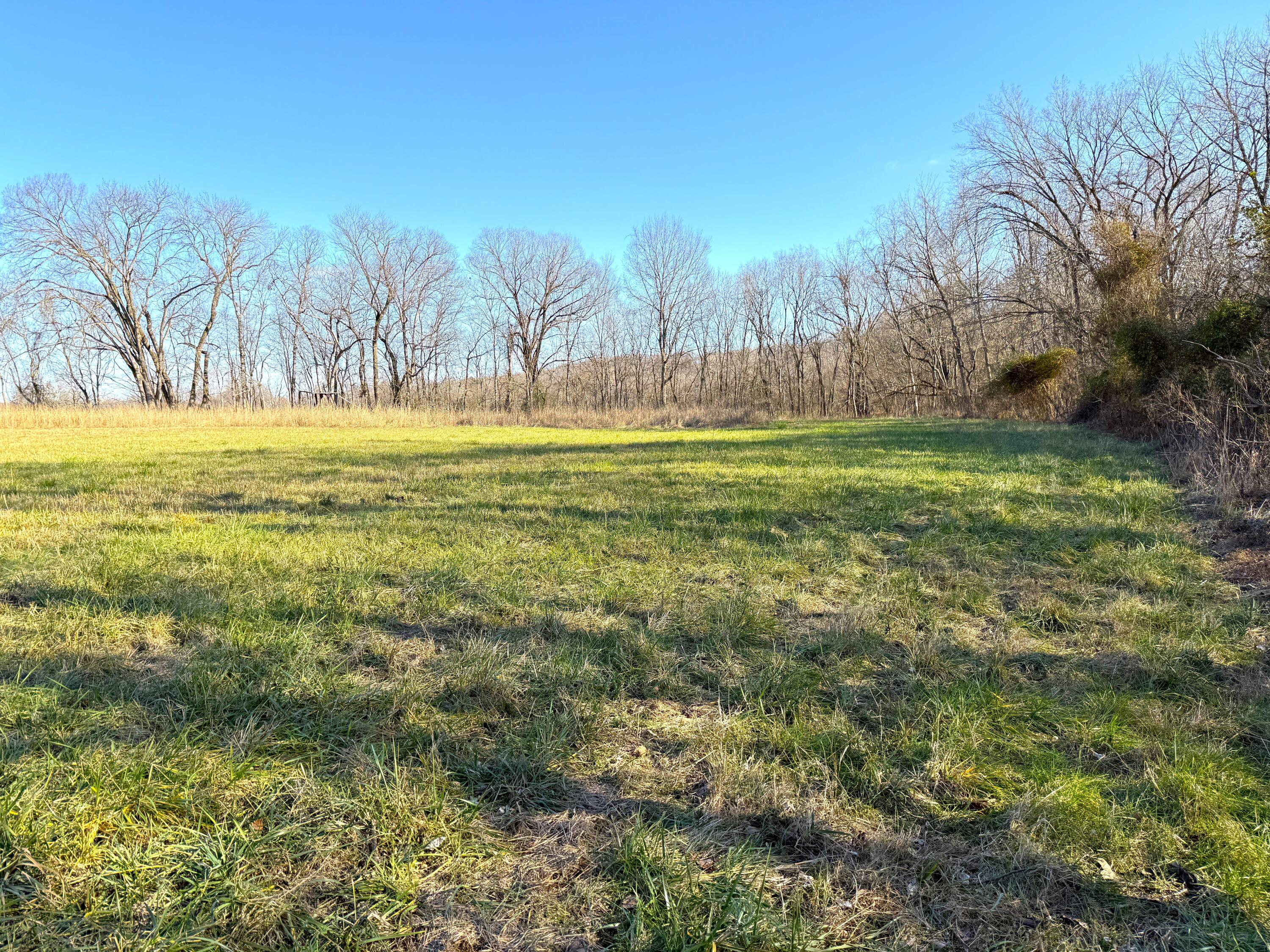 21.8 Acres Mikes Creek Road Property Photo 14