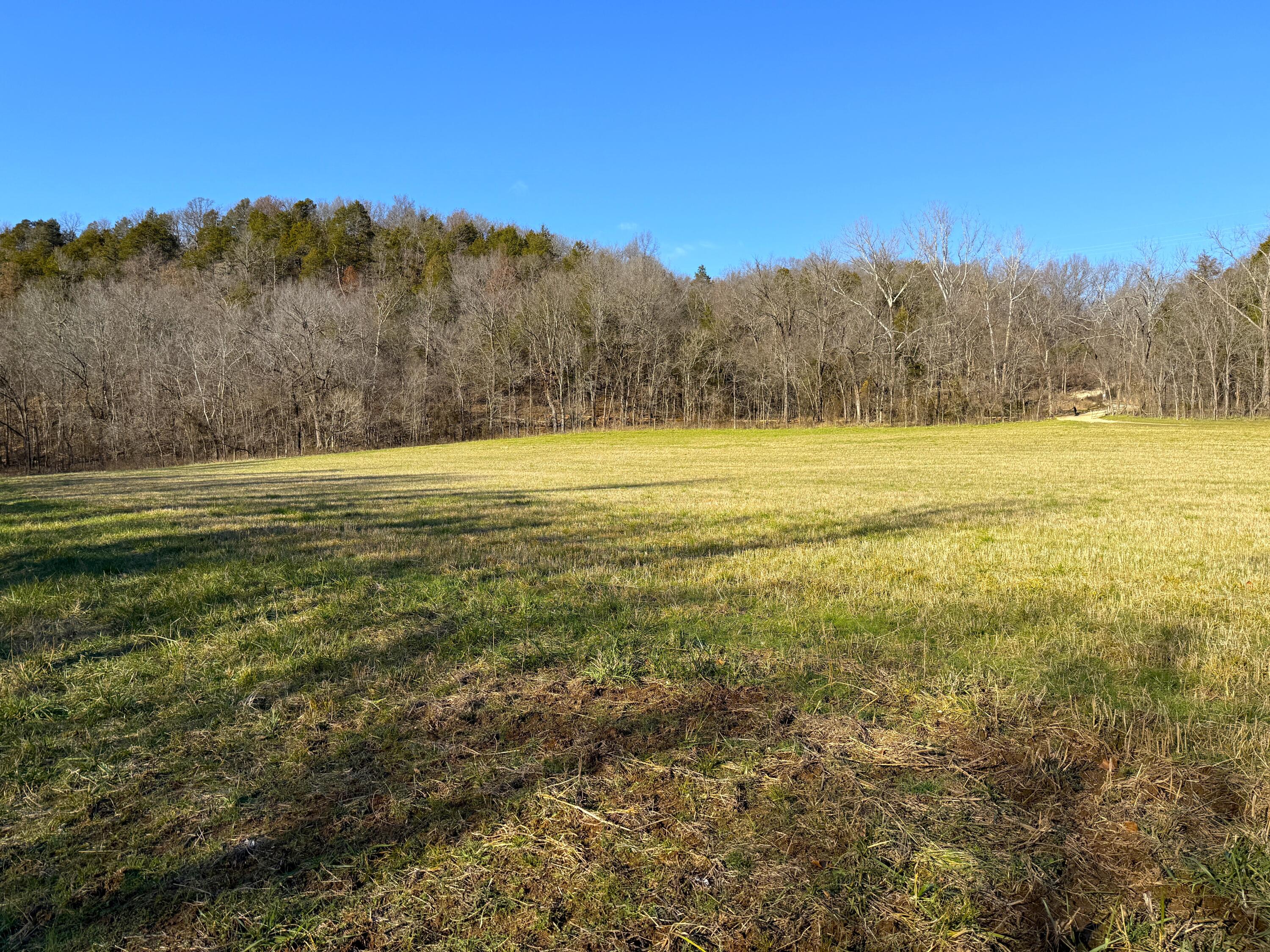 21.8 Acres Mikes Creek Road Property Photo 15