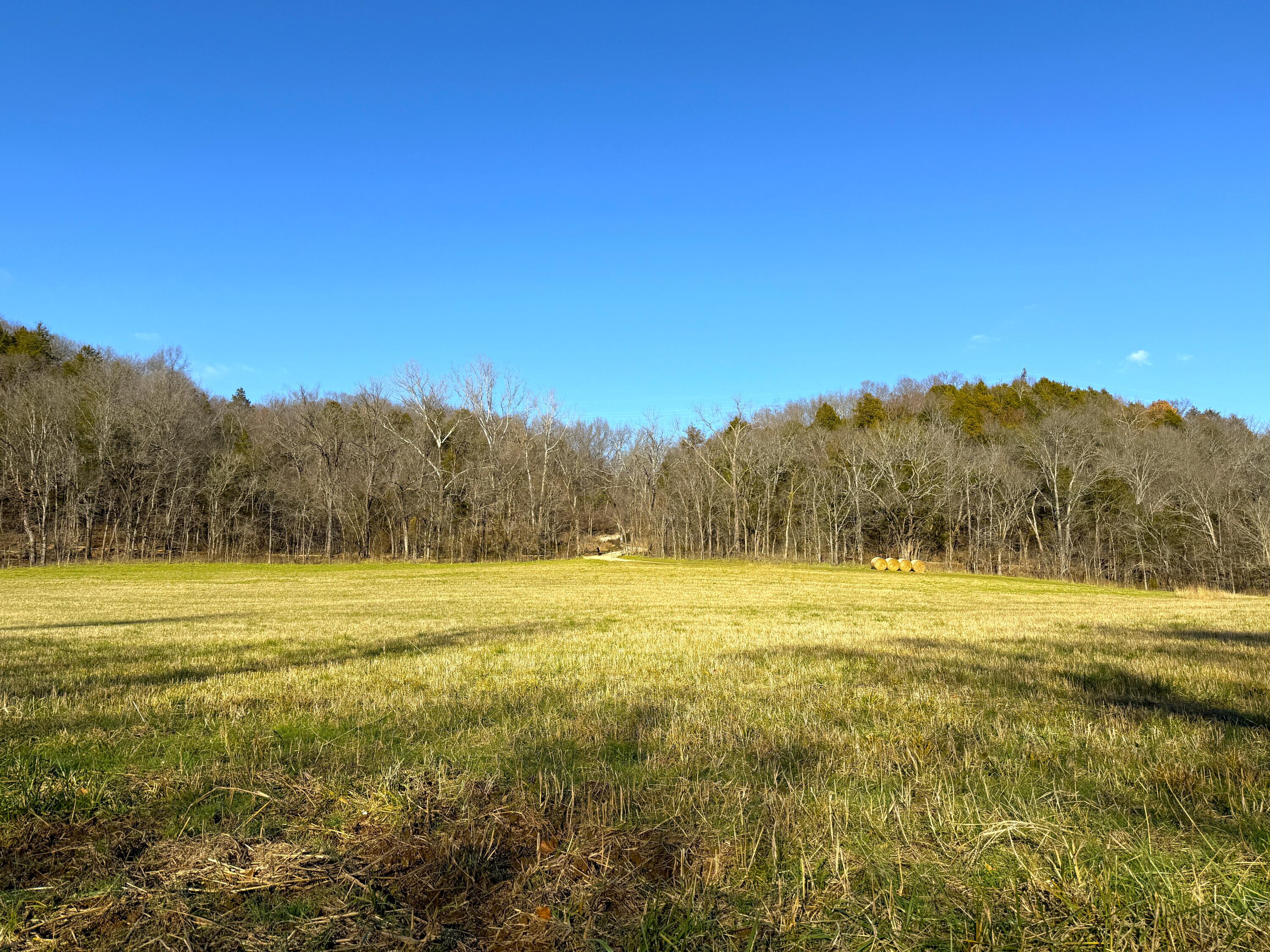 21.8 Acres Mikes Creek Road Property Photo 17