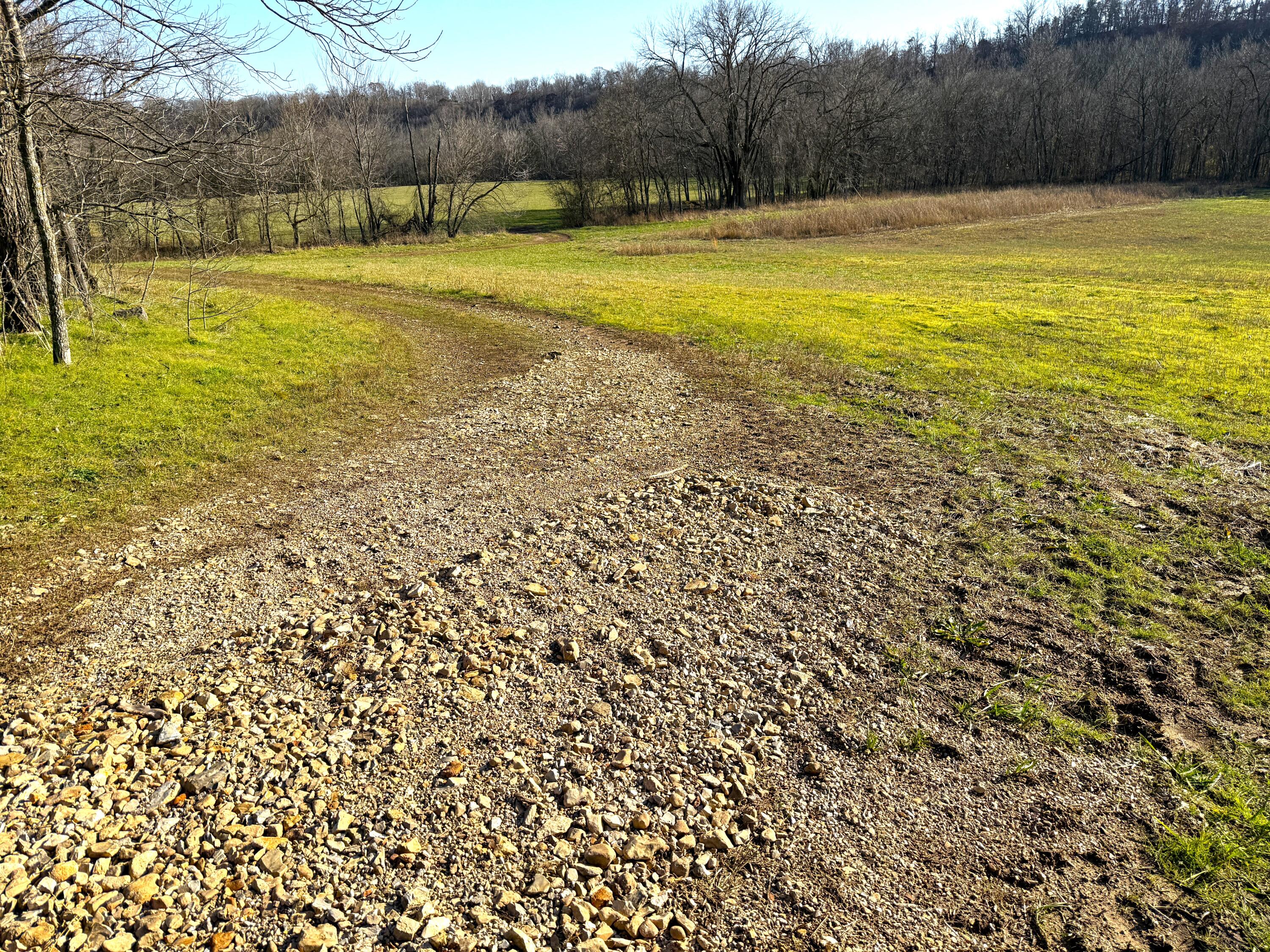 21.8 Acres Mikes Creek Road Property Photo 20