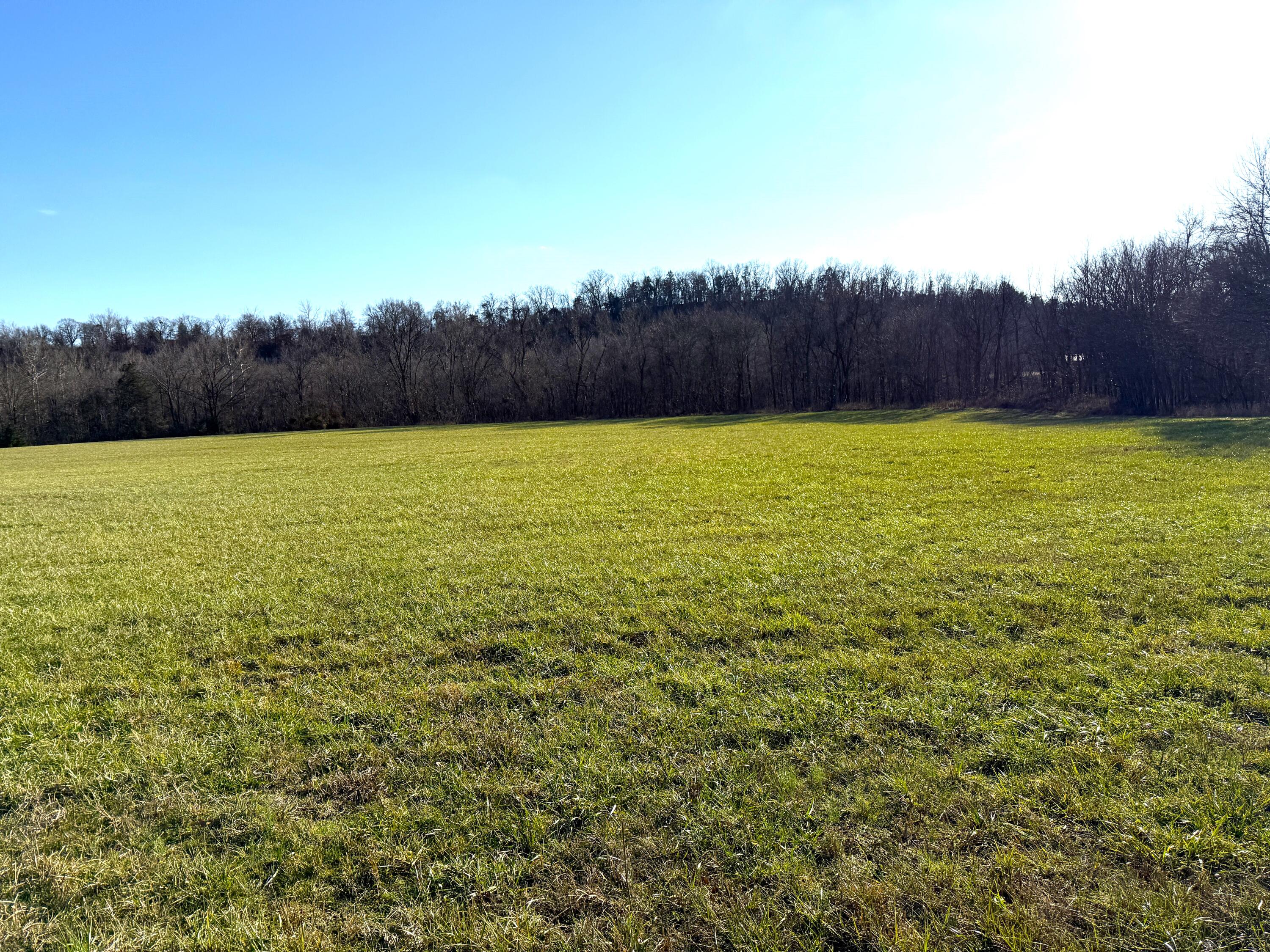 21.8 Acres Mikes Creek Road Property Photo 21