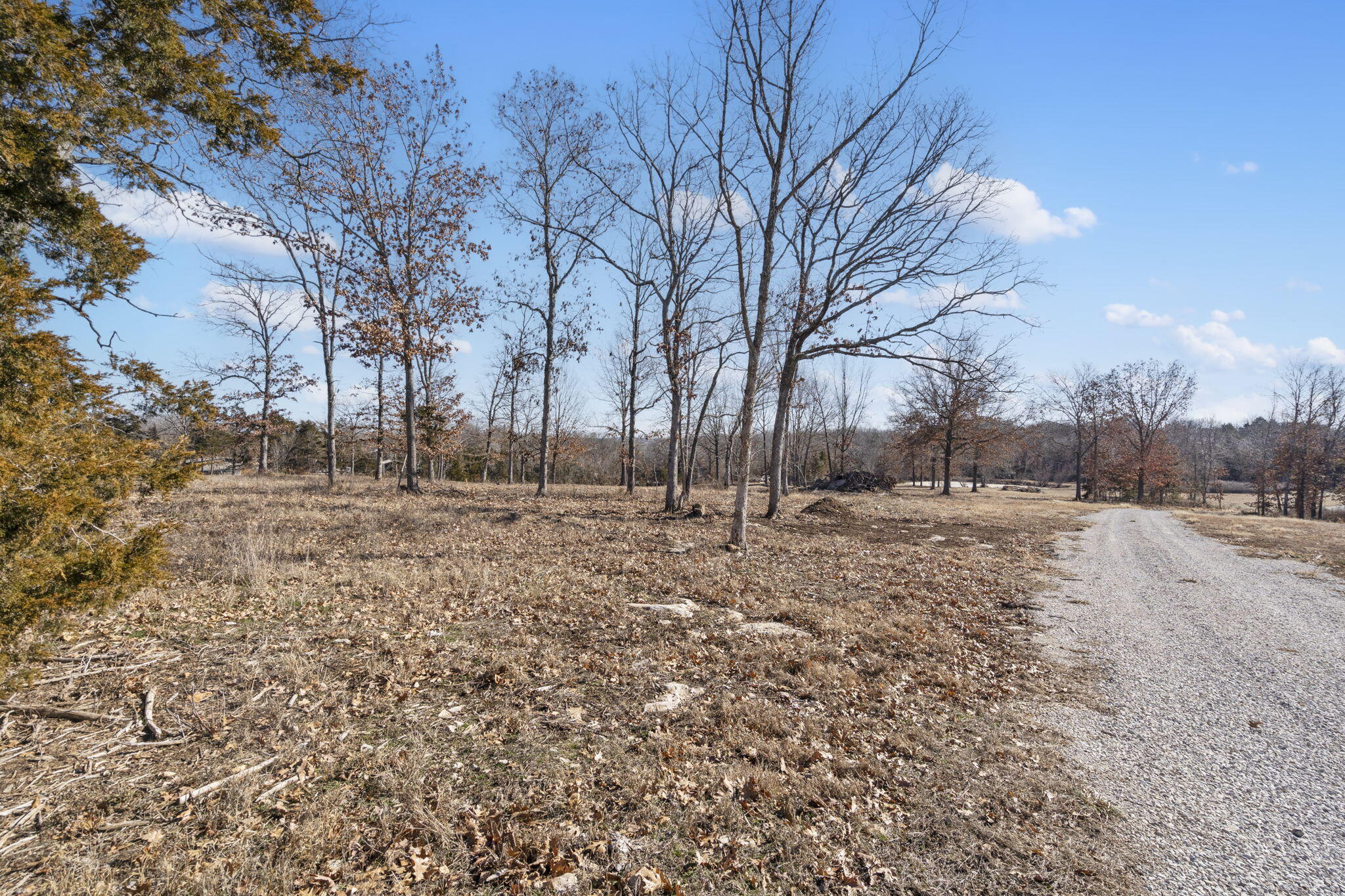 21884 State Highway 254 Property Photo 41