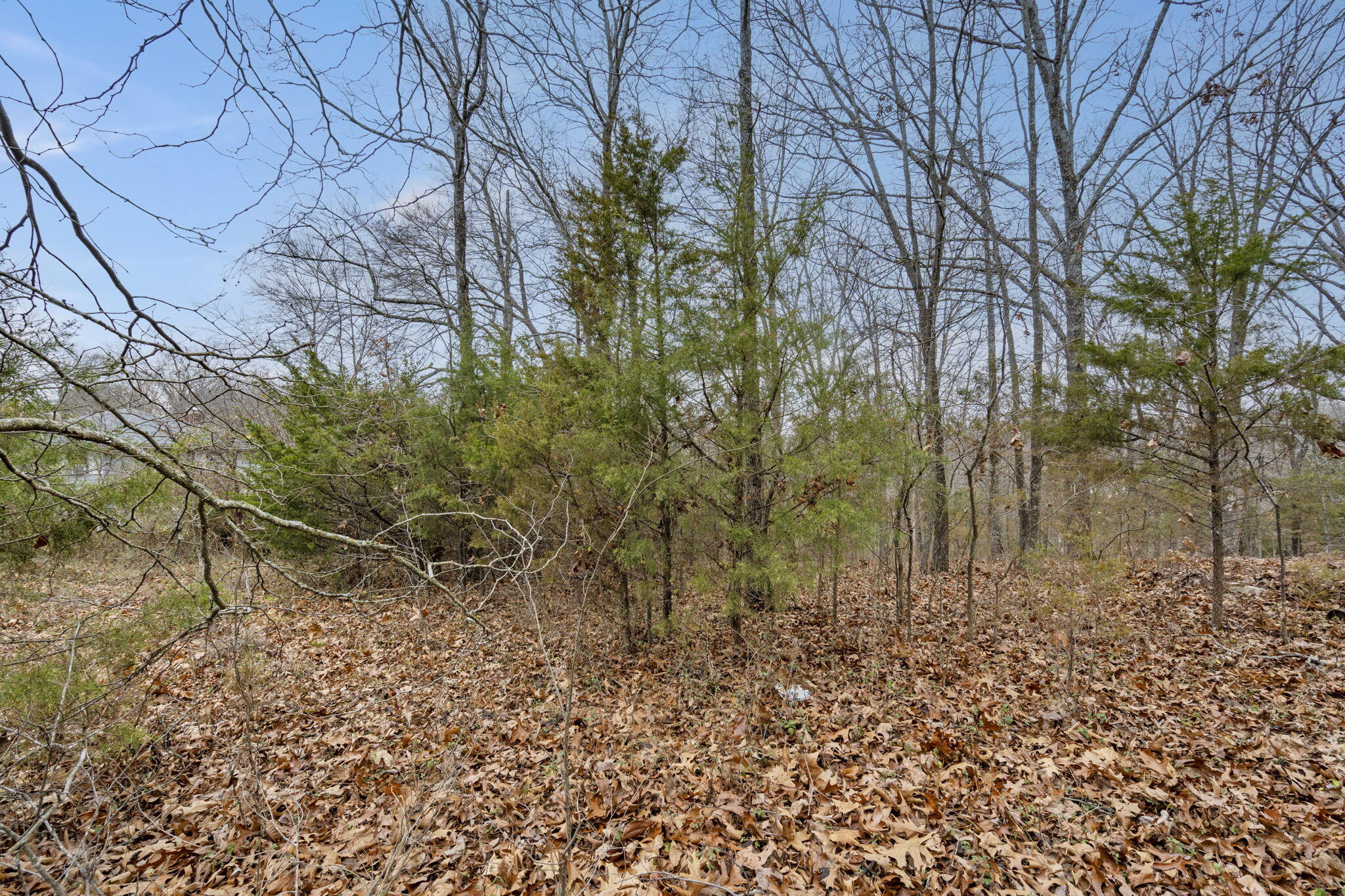 Lot 5 James River Road Property Photo 13