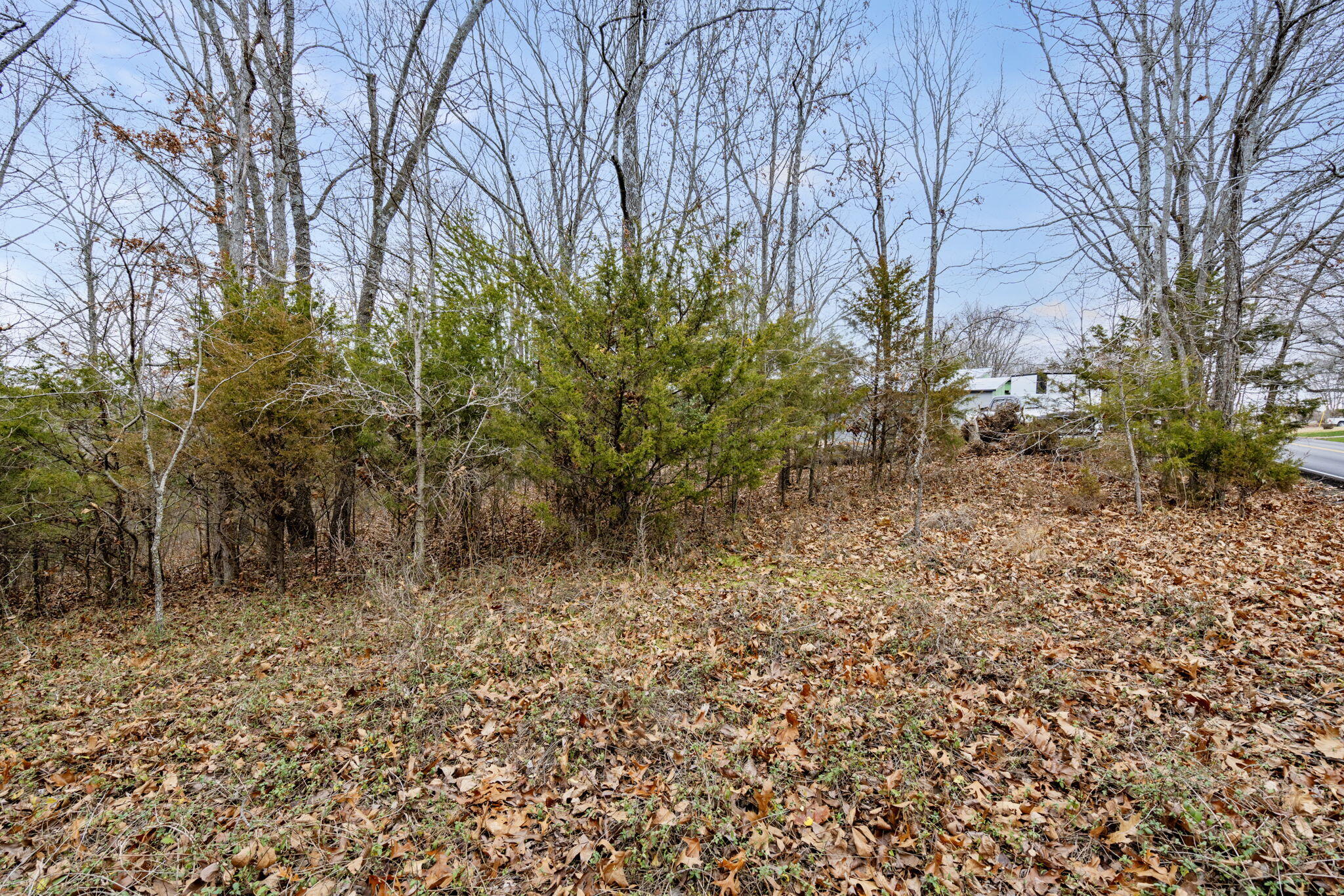 Lot 5 James River Road Property Photo 14
