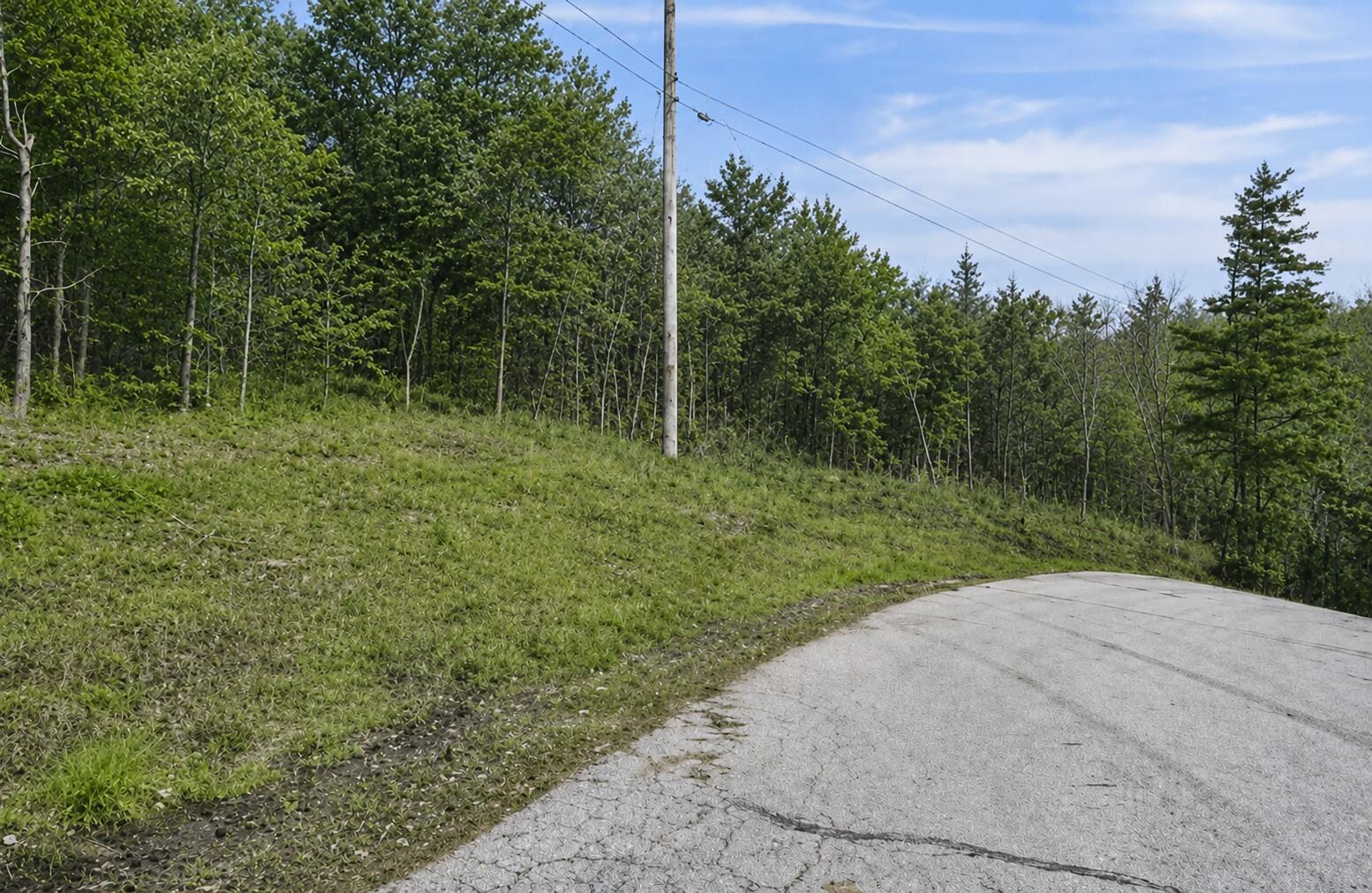 Lot 12 Wilderness Trail Property Photo 3