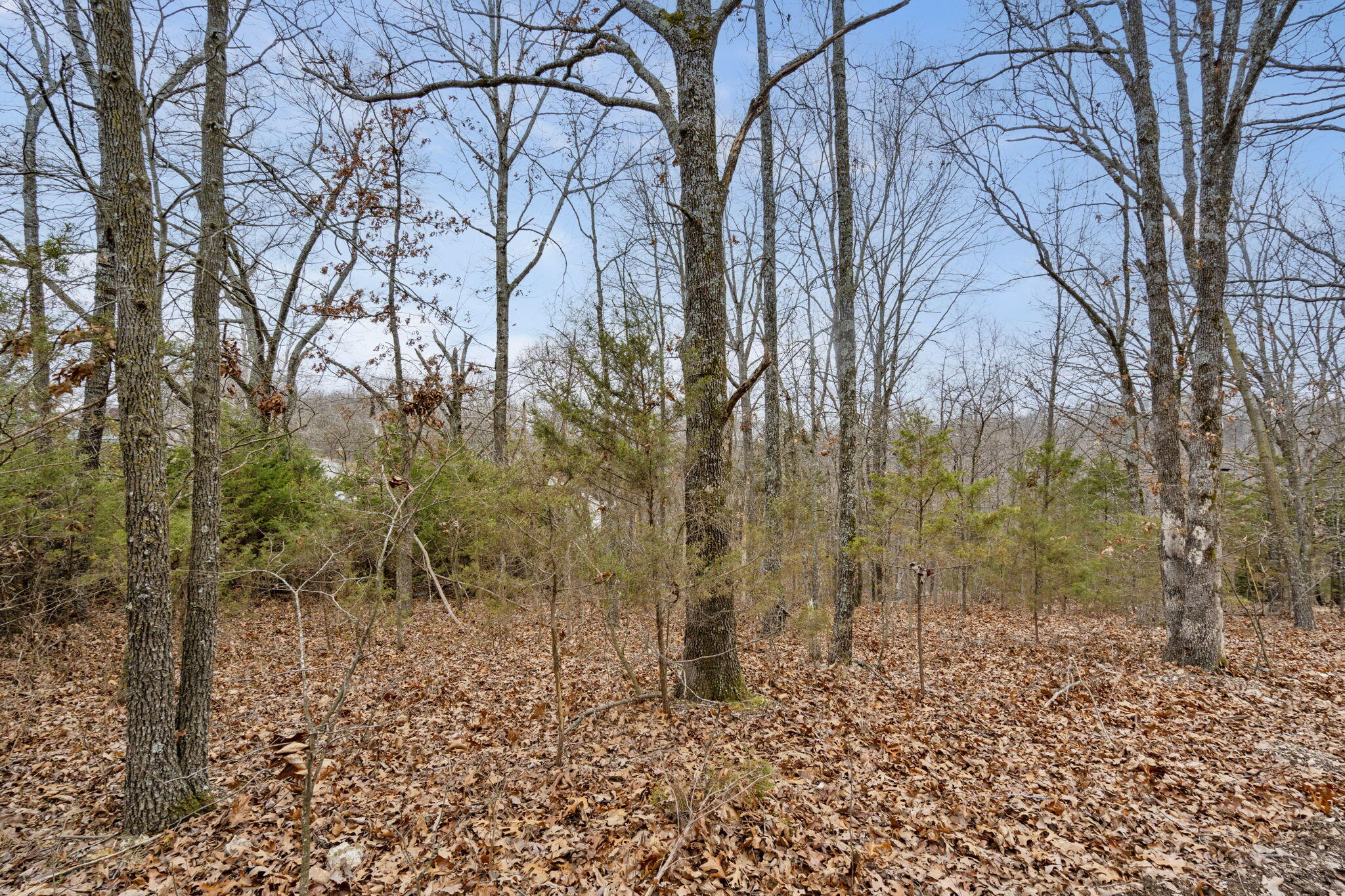 Lot 12 Wilderness Trail Property Photo 12