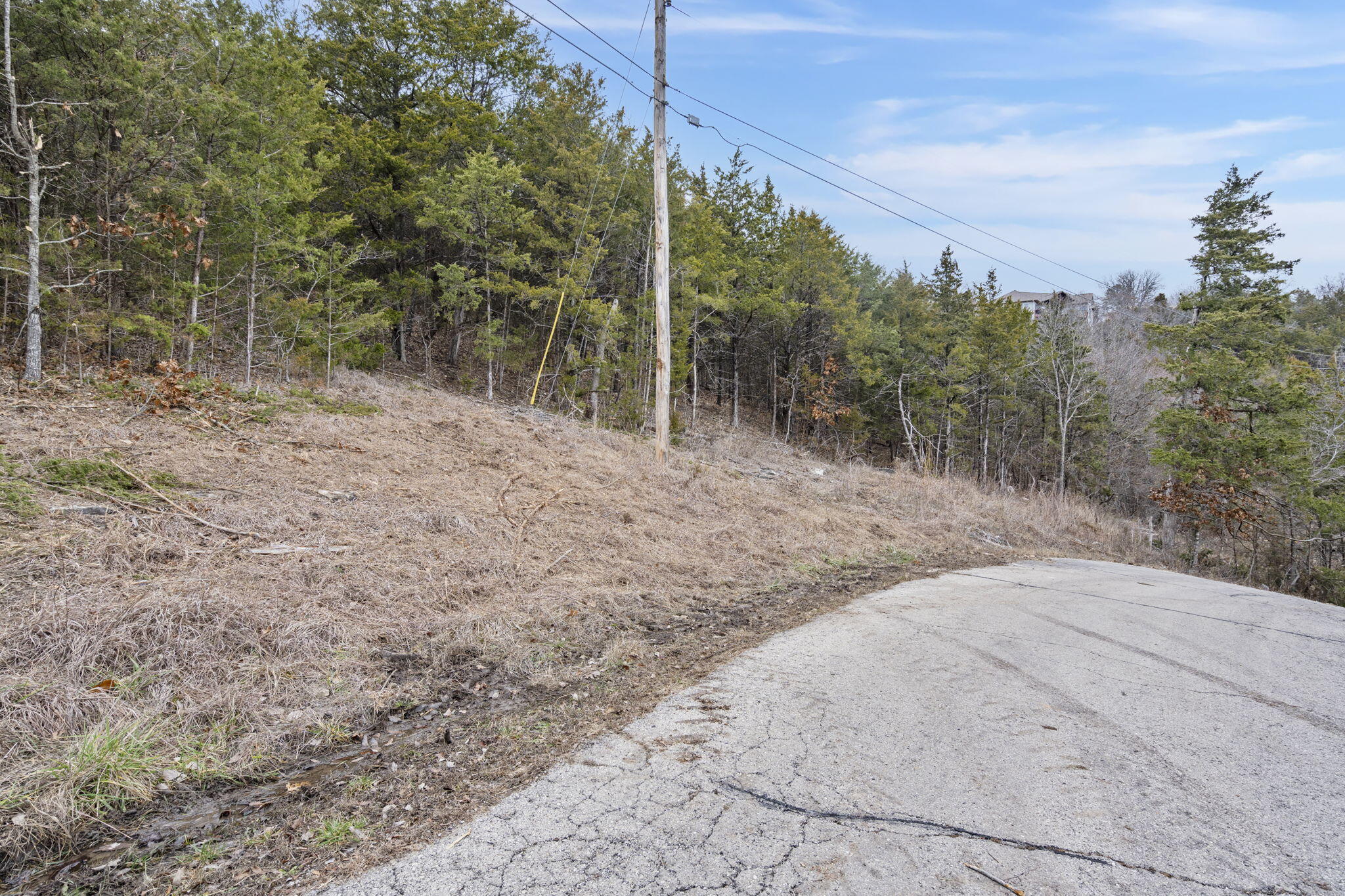 Lot 12 Wilderness Trail Property Photo 13