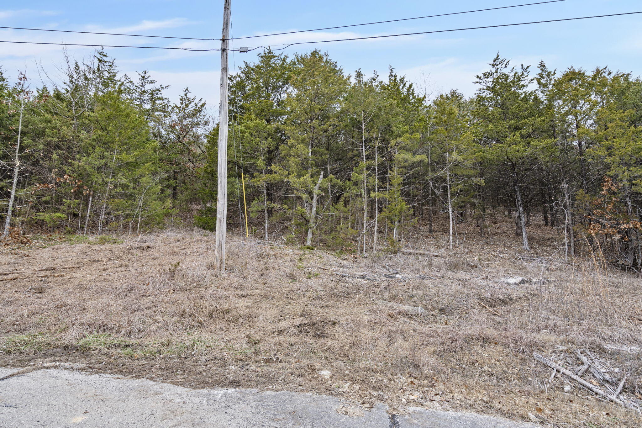 Lot 12 Wilderness Trail Property Photo 15