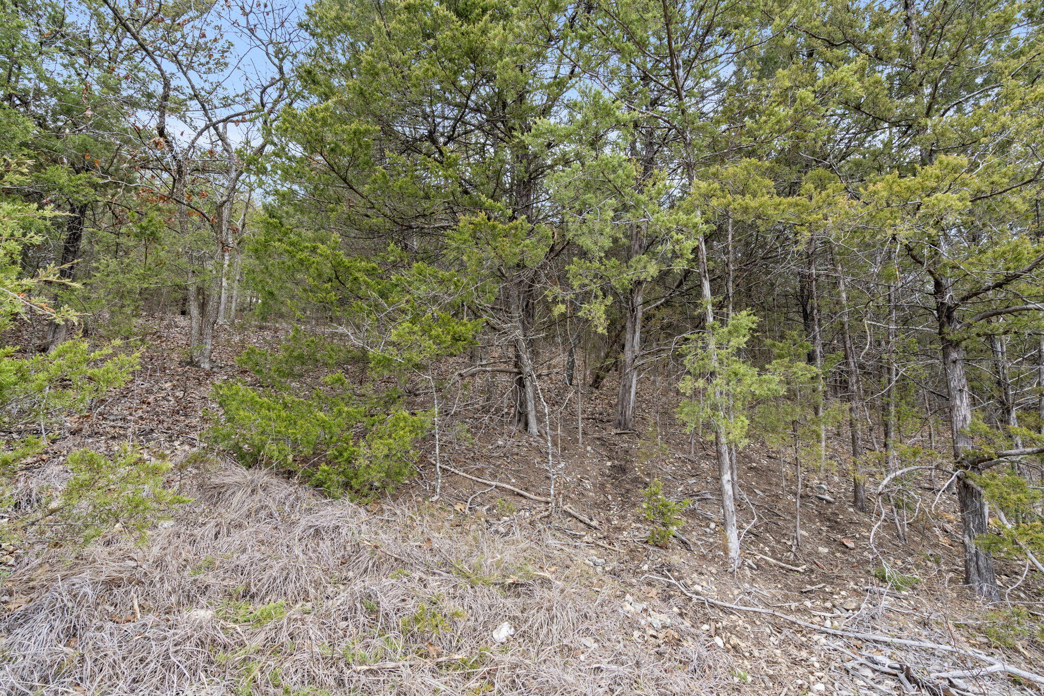 Lot 12 Wilderness Trail Property Photo 16