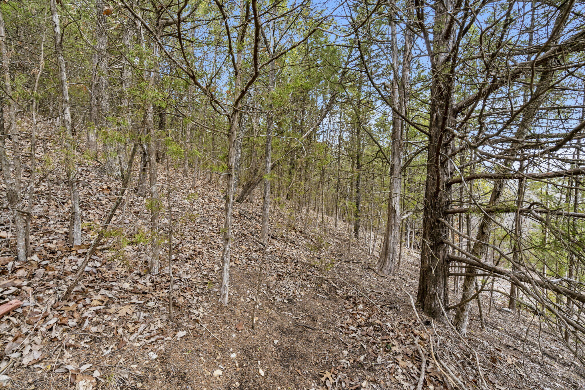 Lot 12 Wilderness Trail Property Photo 18
