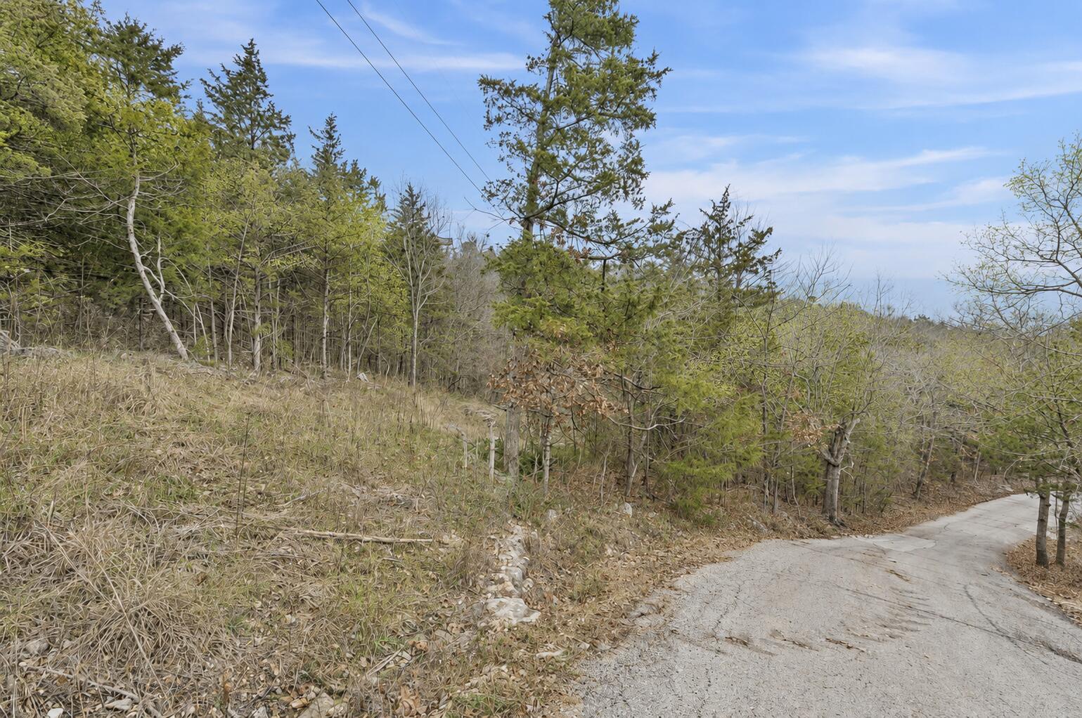 Lot 11 Wilderness Trail Property Photo 4