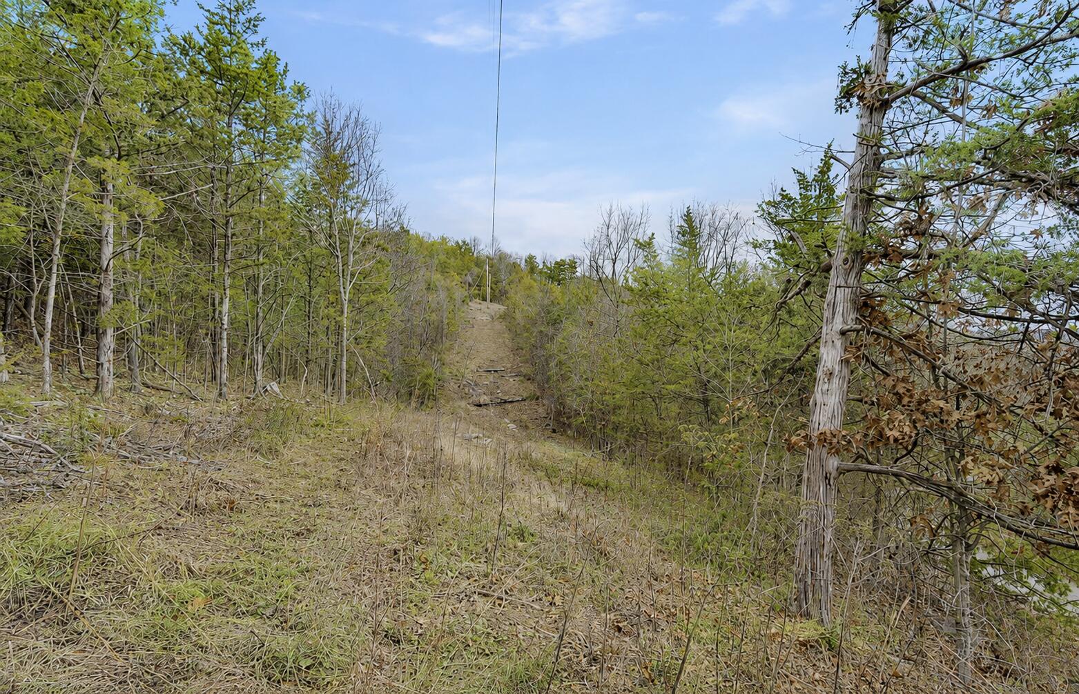 Lot 11 Wilderness Trail Property Photo 5