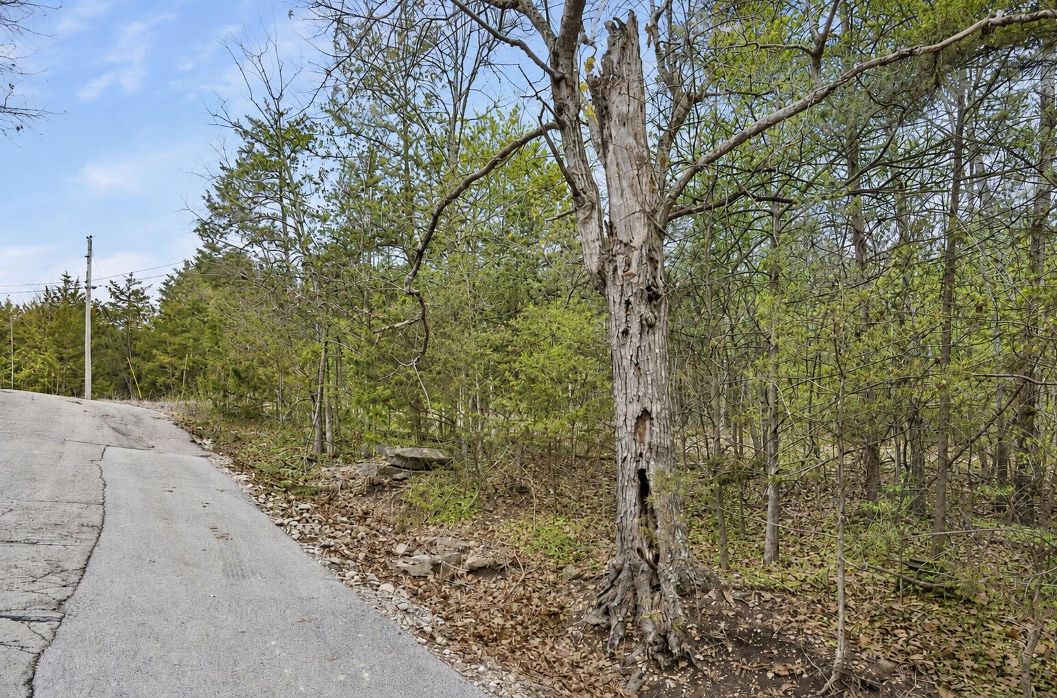 Lot 11 Wilderness Trail Property Photo 6