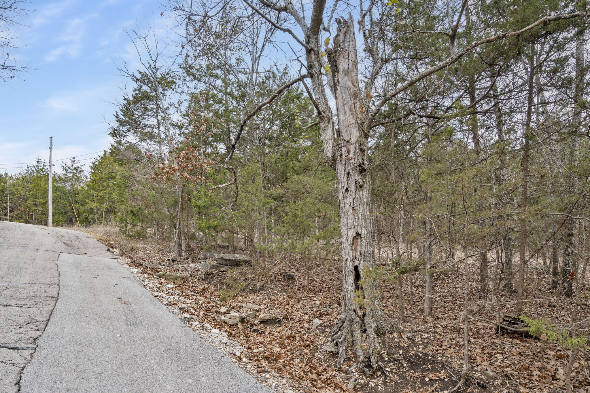 Lot 11 Wilderness Trail Property Photo 17