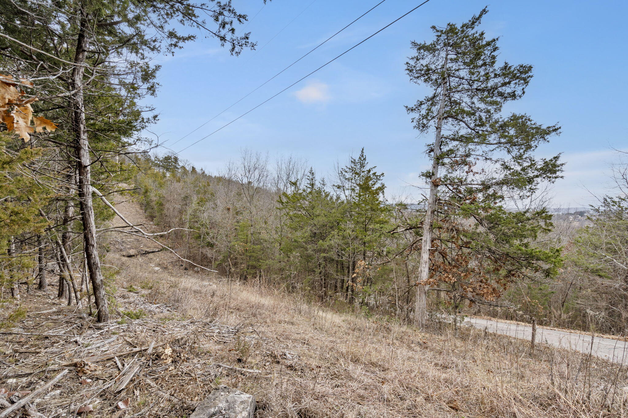 Lot 11 Wilderness Trail Property Photo 42