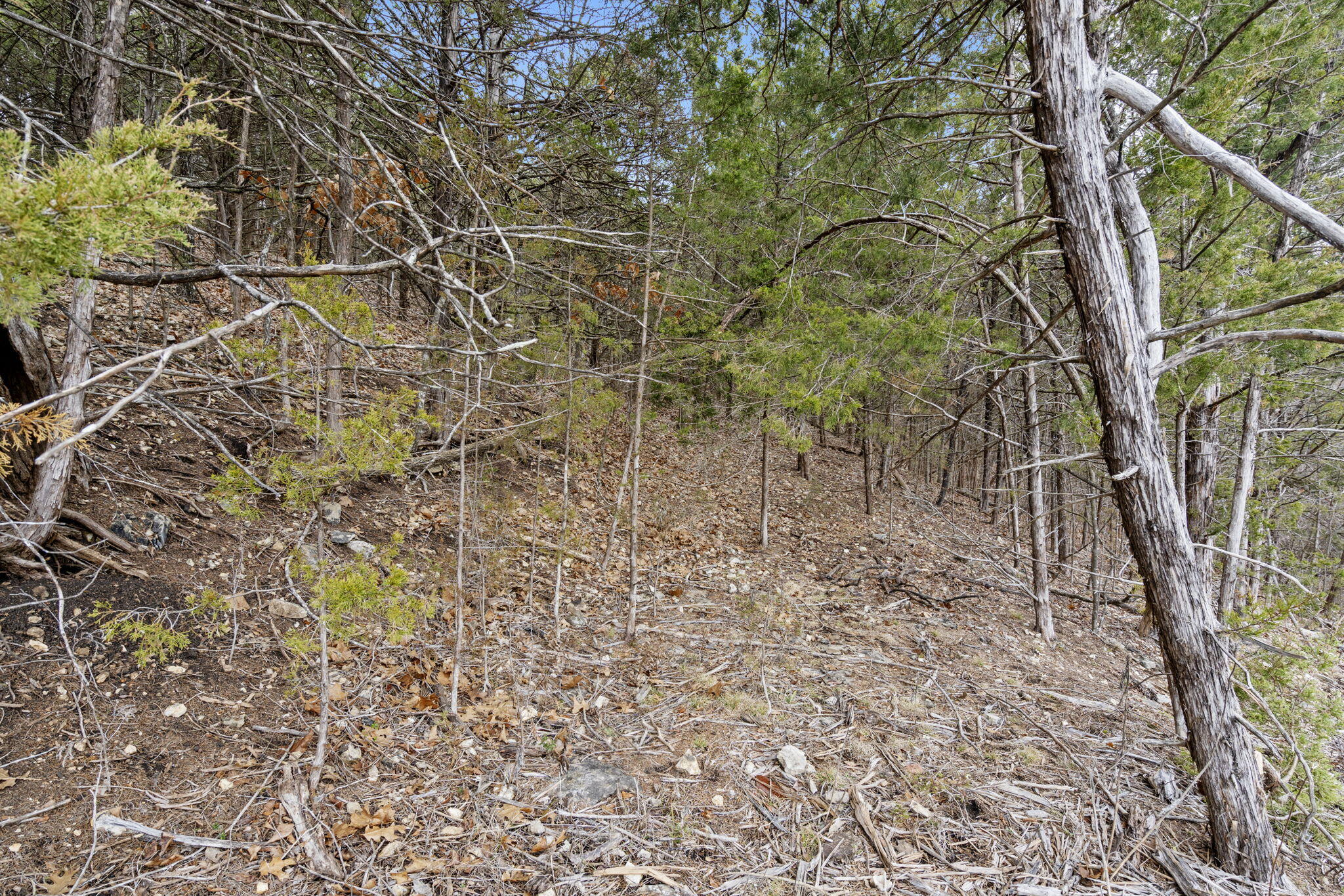 Lot 11 Wilderness Trail Property Photo 43