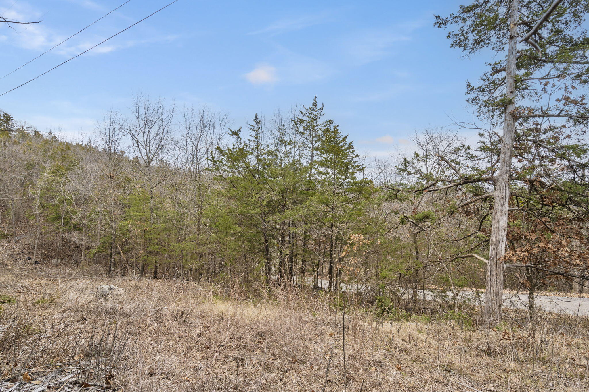 Lot 11 Wilderness Trail Property Photo 44
