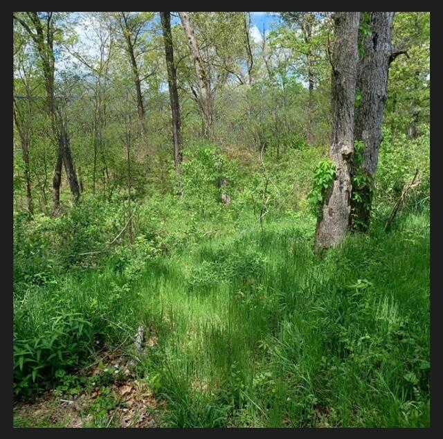 389 Osage Lane Property Photo 13