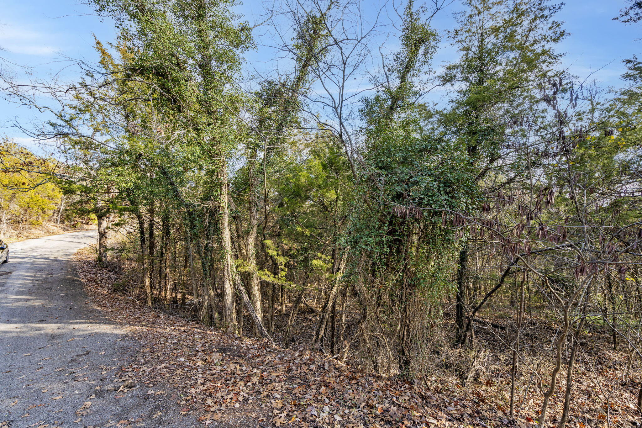 Lot 12 Elm Drive Property Photo 12