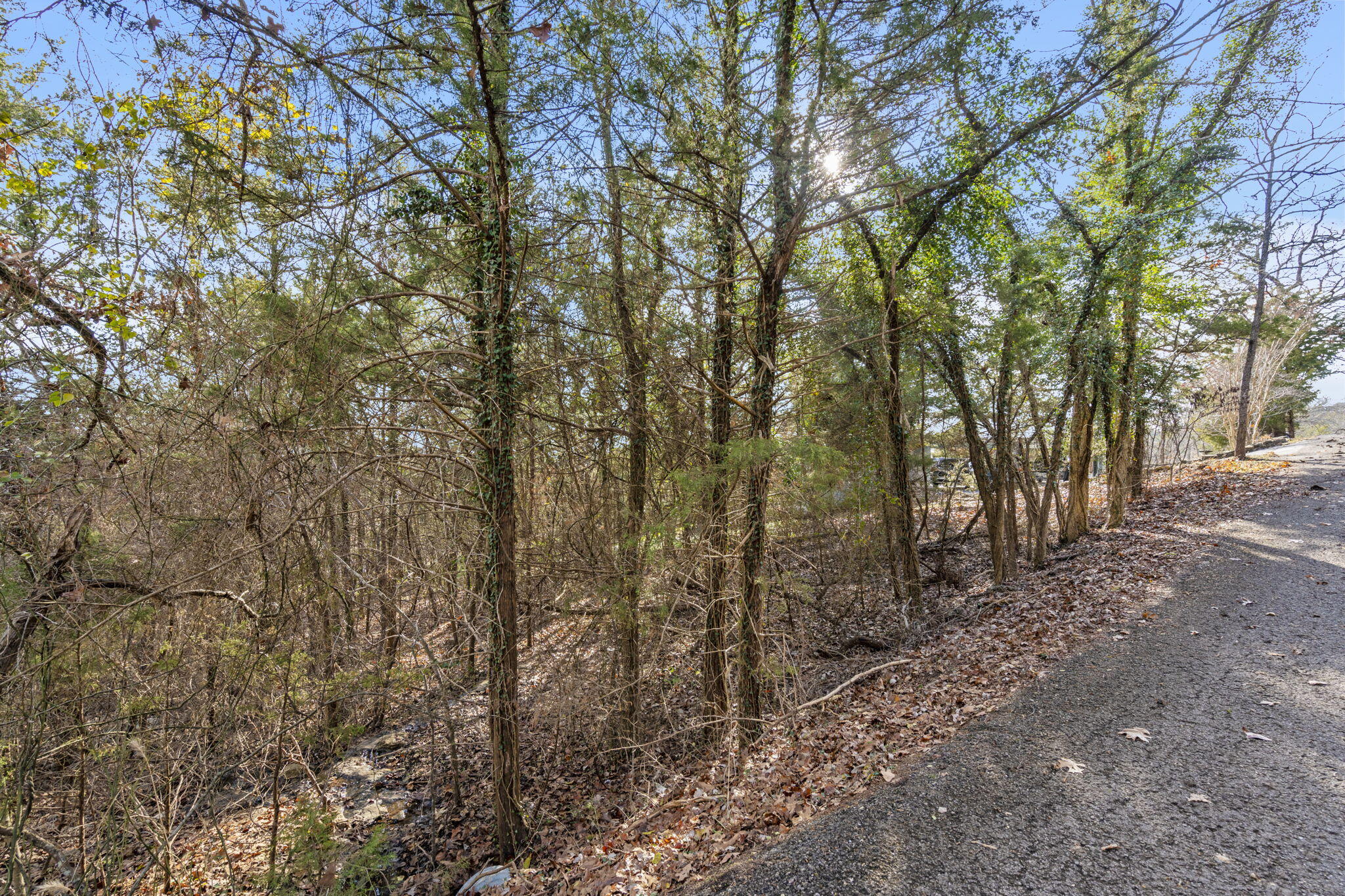 Lot 12 Elm Drive Property Photo 13