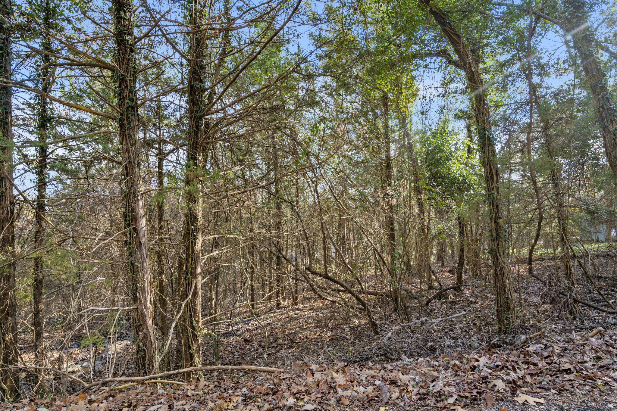 Lot 12 Elm Drive Property Photo 14