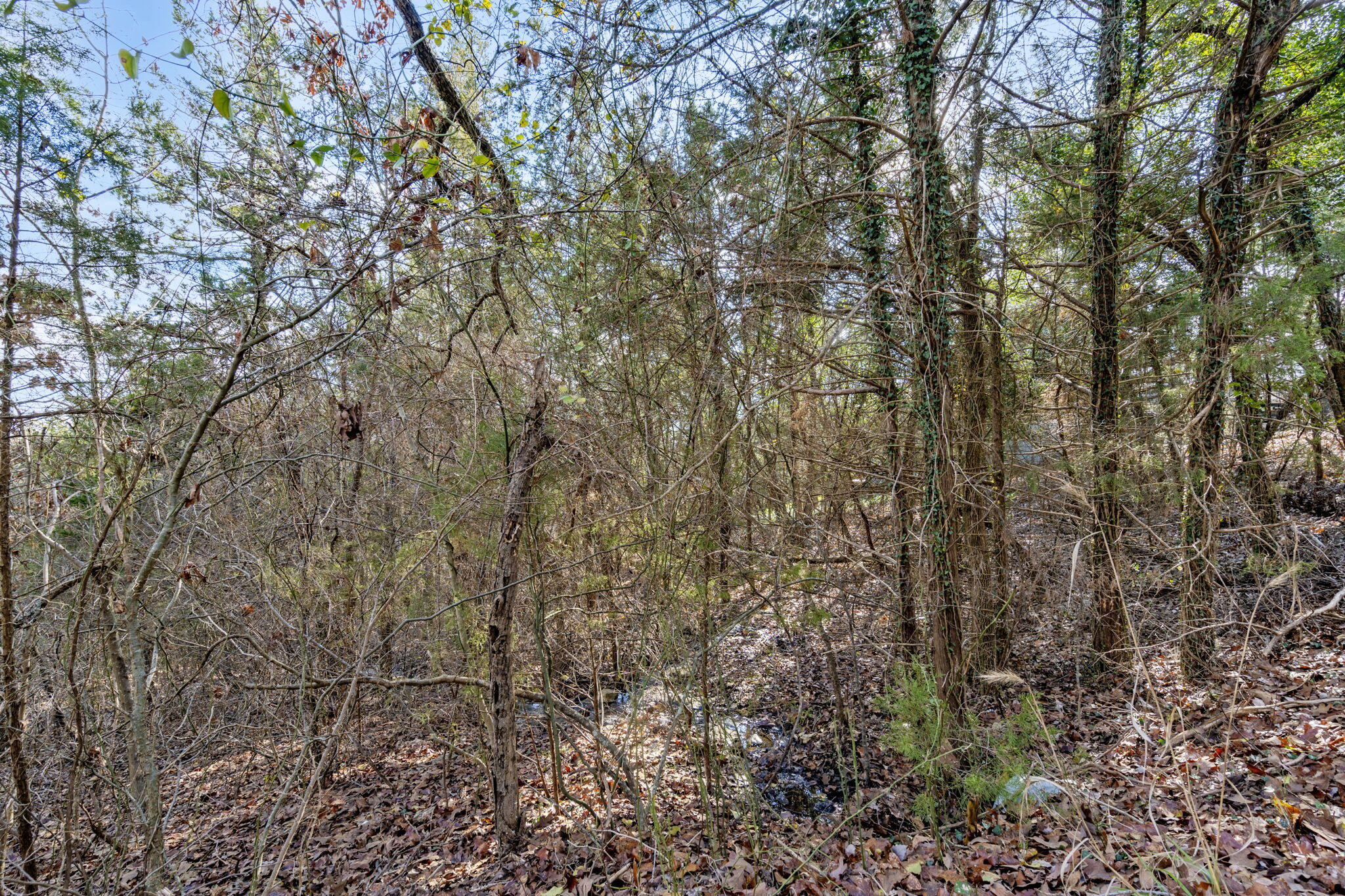 Lot 12 Elm Drive Property Photo 15