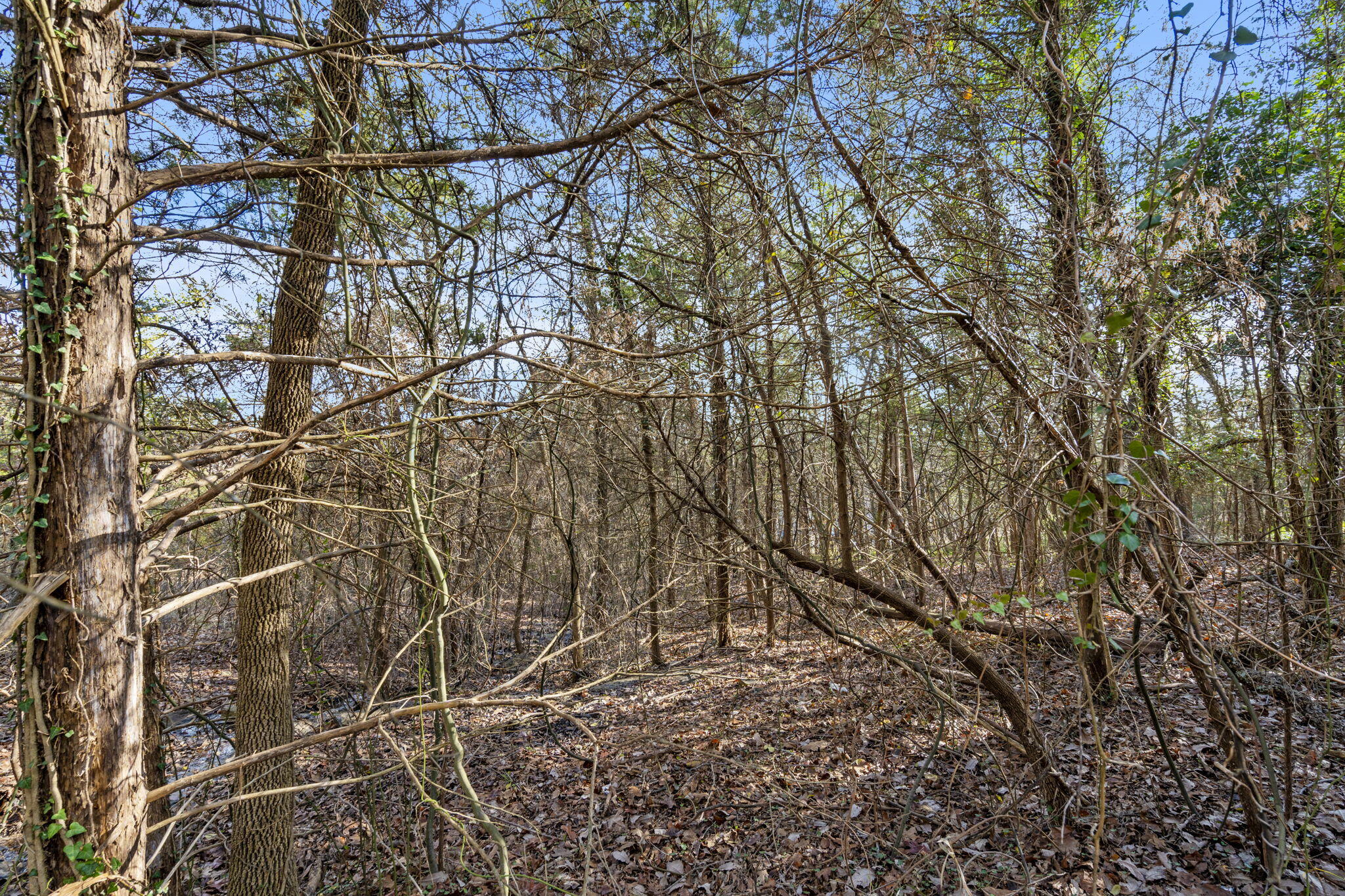 Lot 12 Elm Drive Property Photo 16